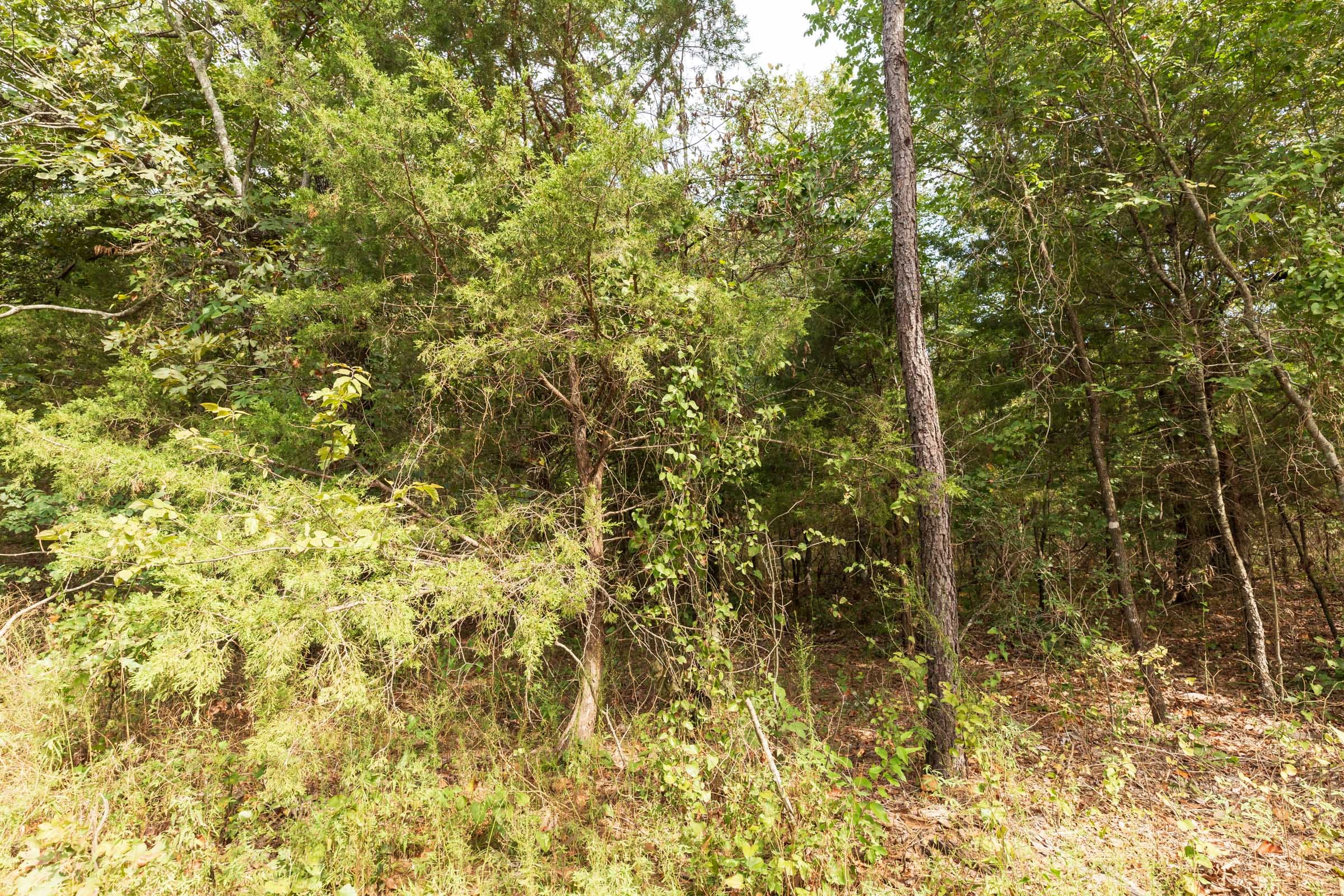 Stone Bridge Phase V Tract 366 photo 5