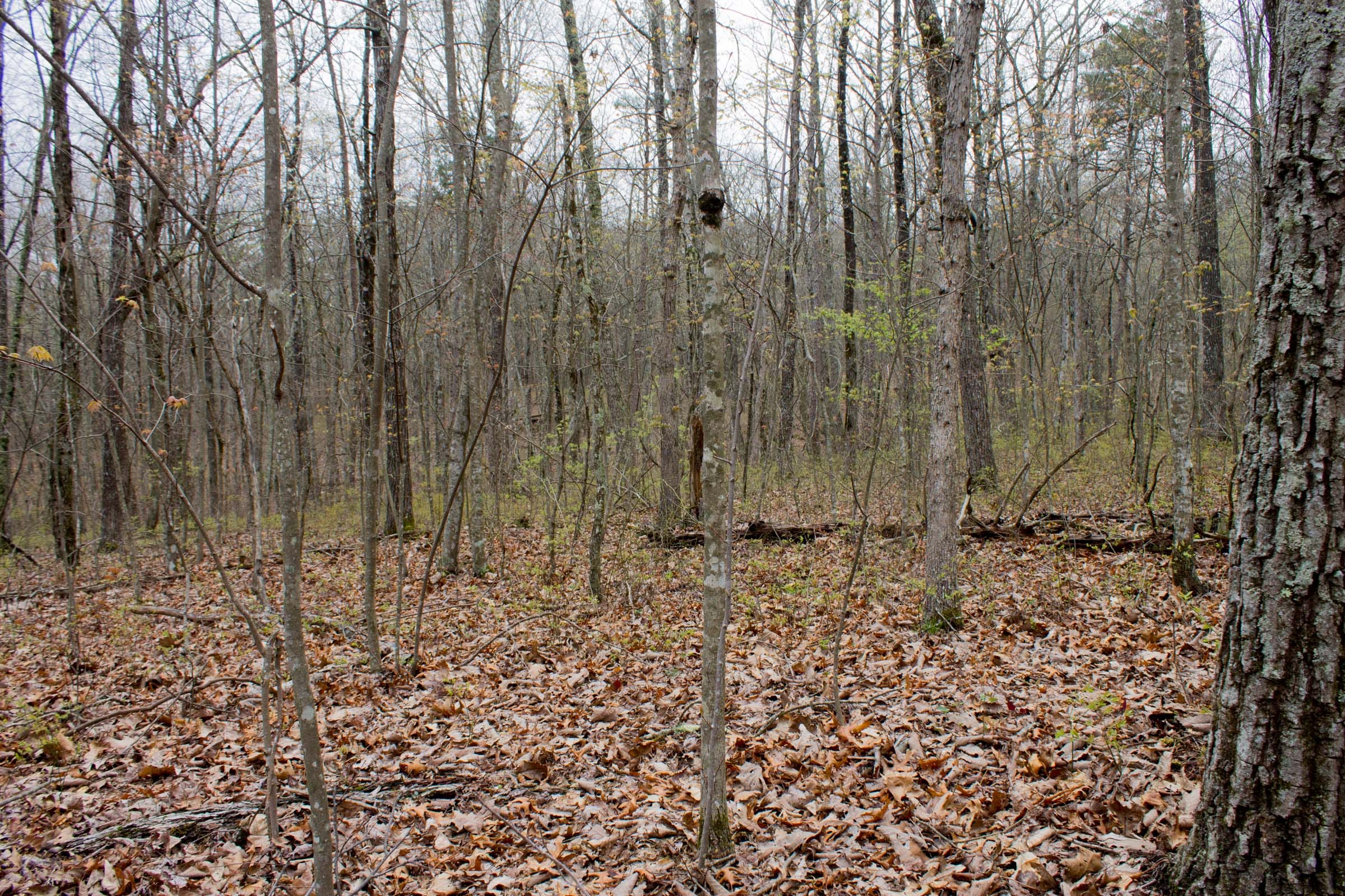 Hidden Hills Tract 3 photo 4