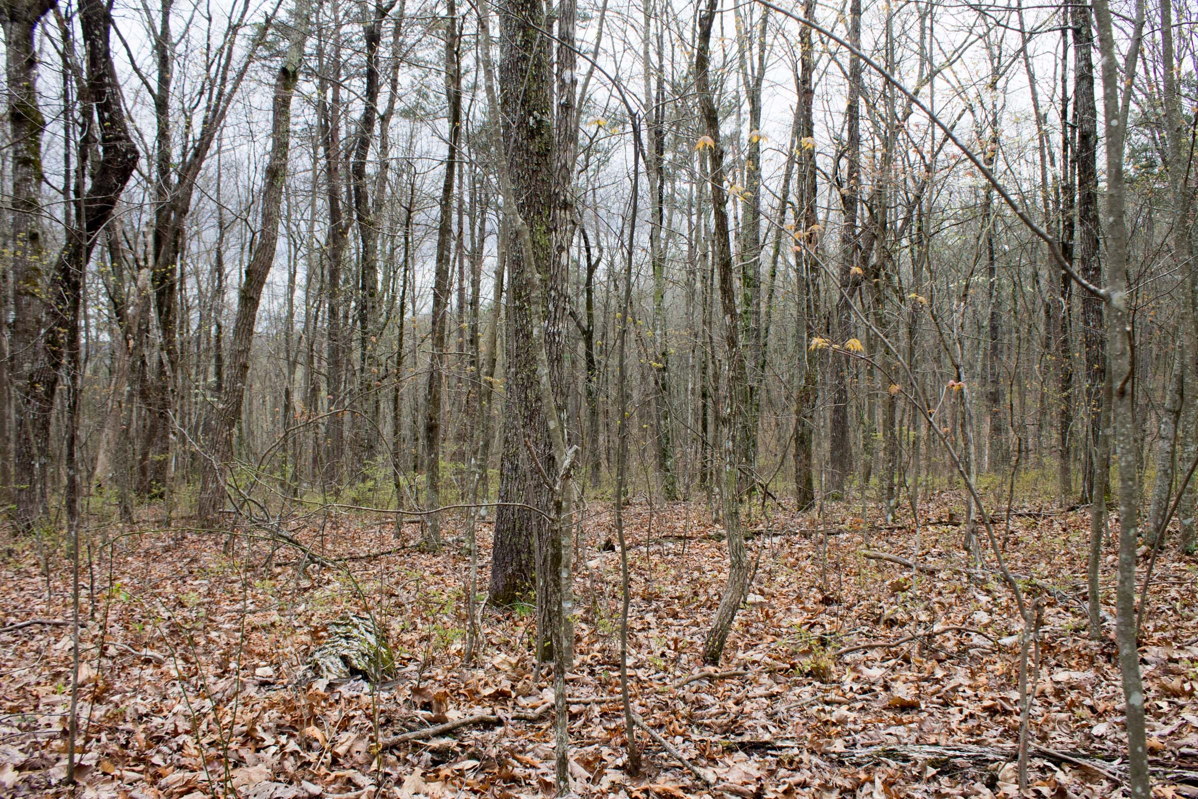 Hidden Hills Tract 3 photo 5