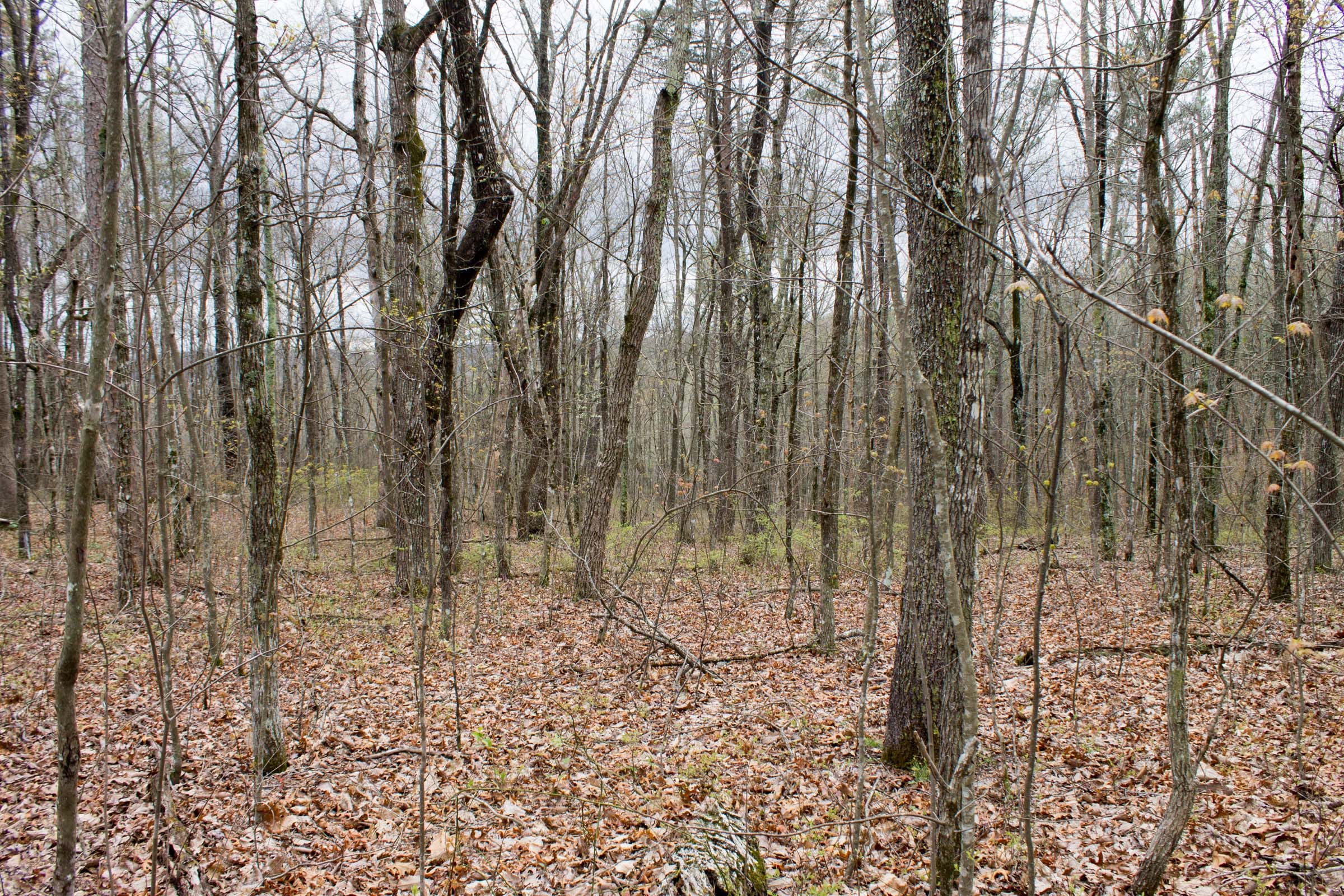 Hidden Hills Tract 3 photo 6