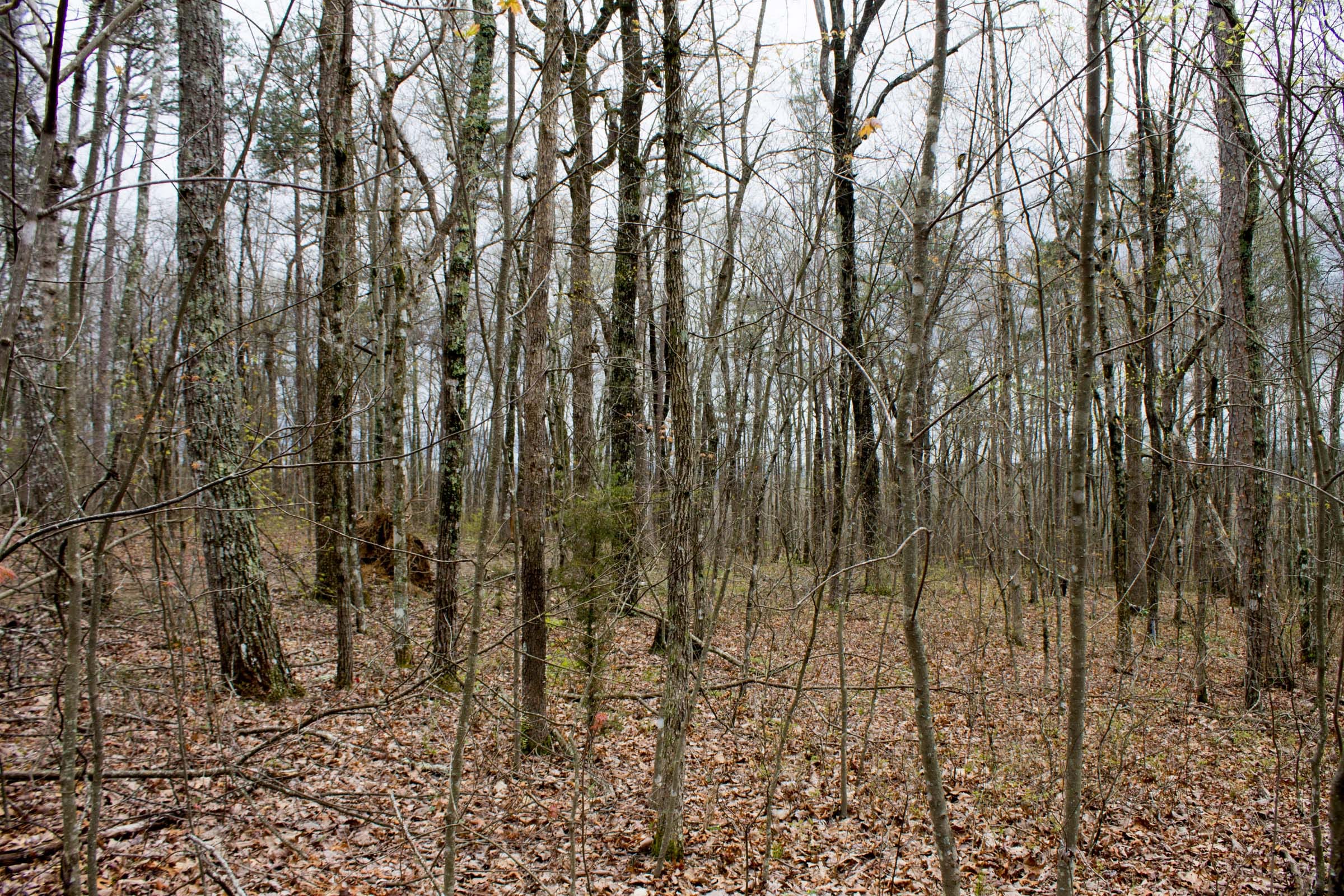 Hidden Hills Tract 3 photo 7