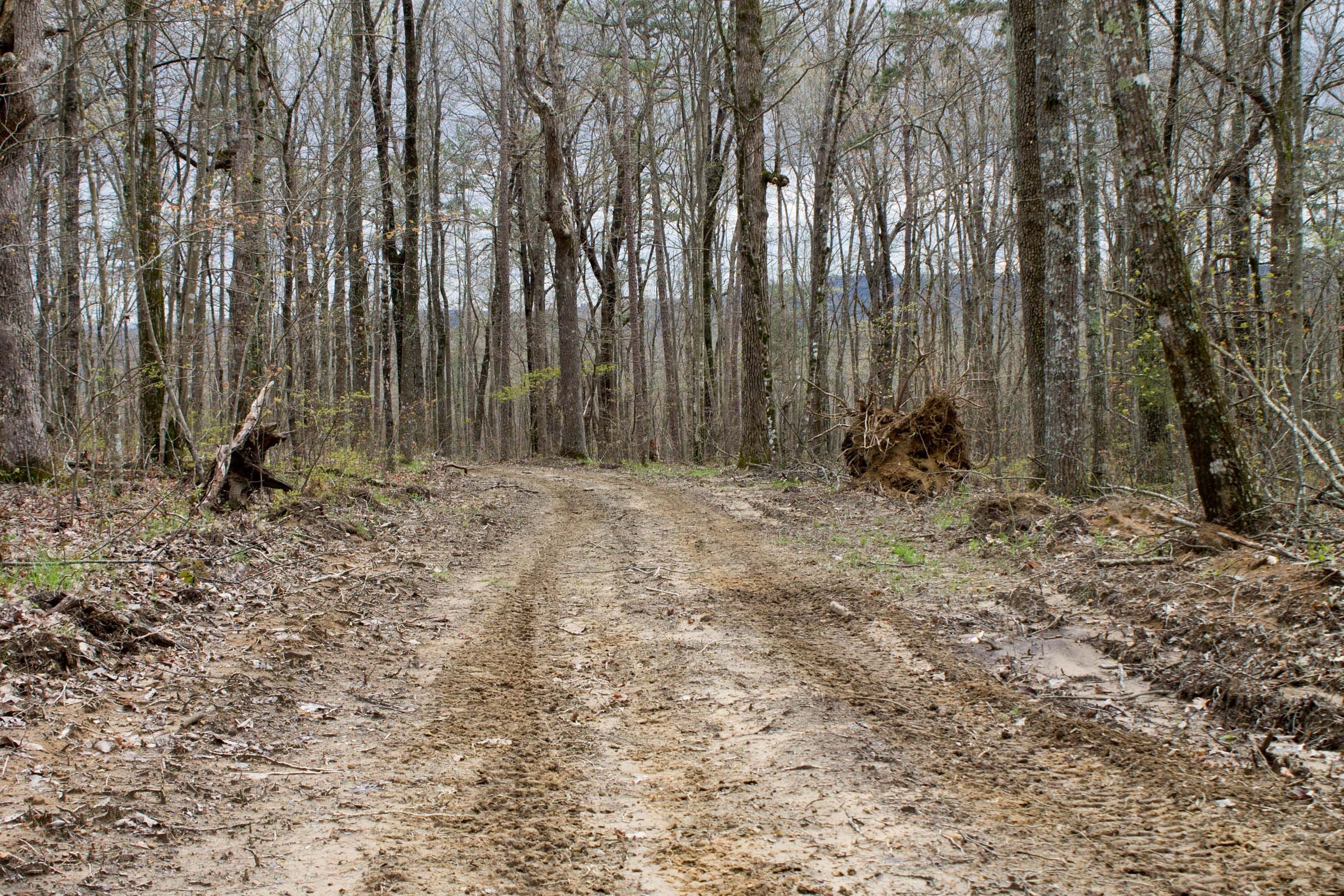 Hidden Hills Tract 3 photo 2