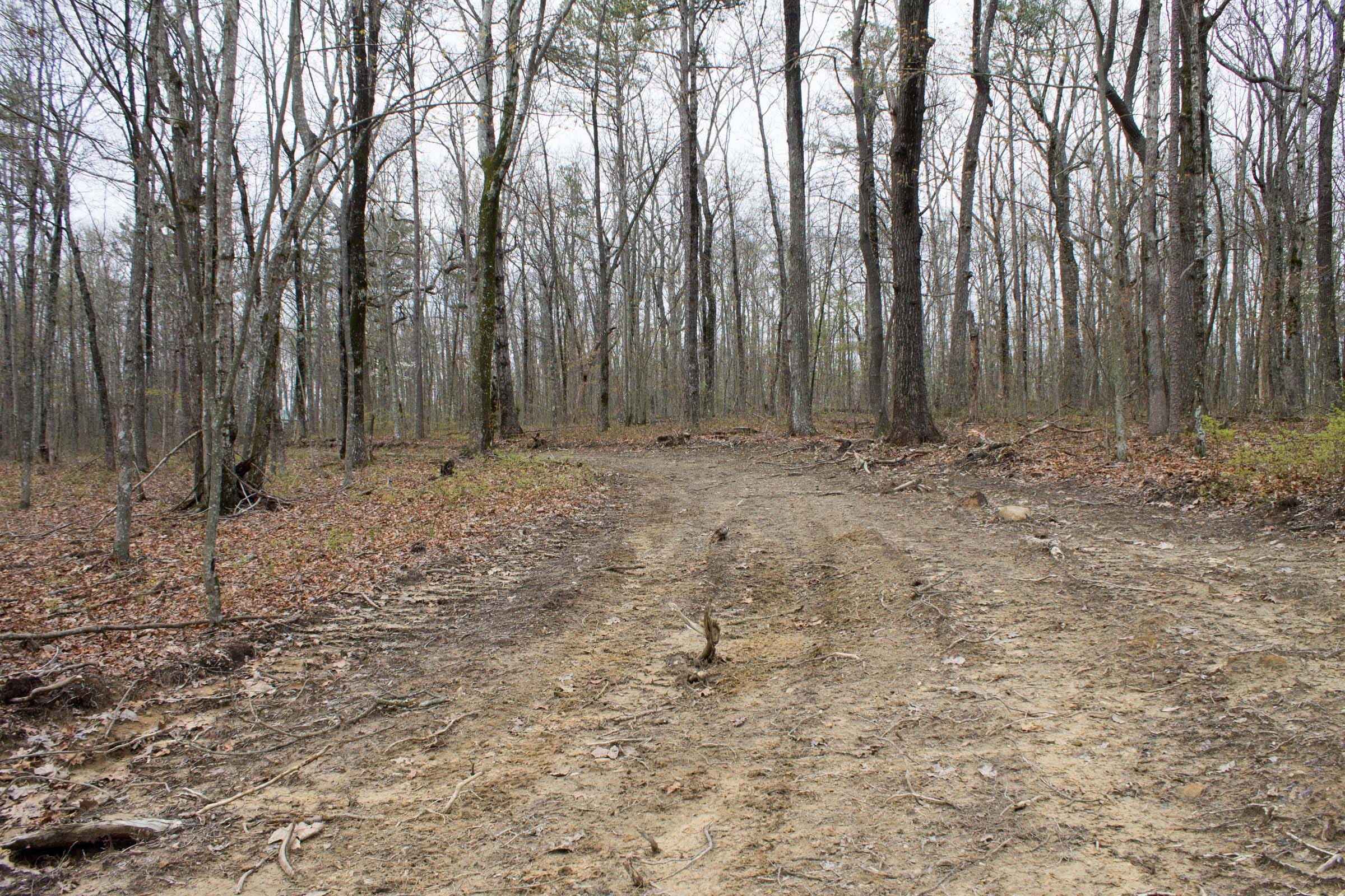 Hidden Hills Tract 3 photo 8