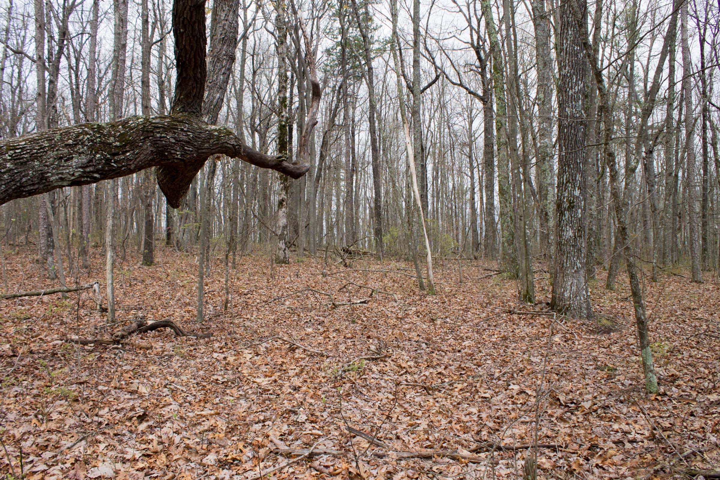 Hidden Hills Tract 3 photo 10