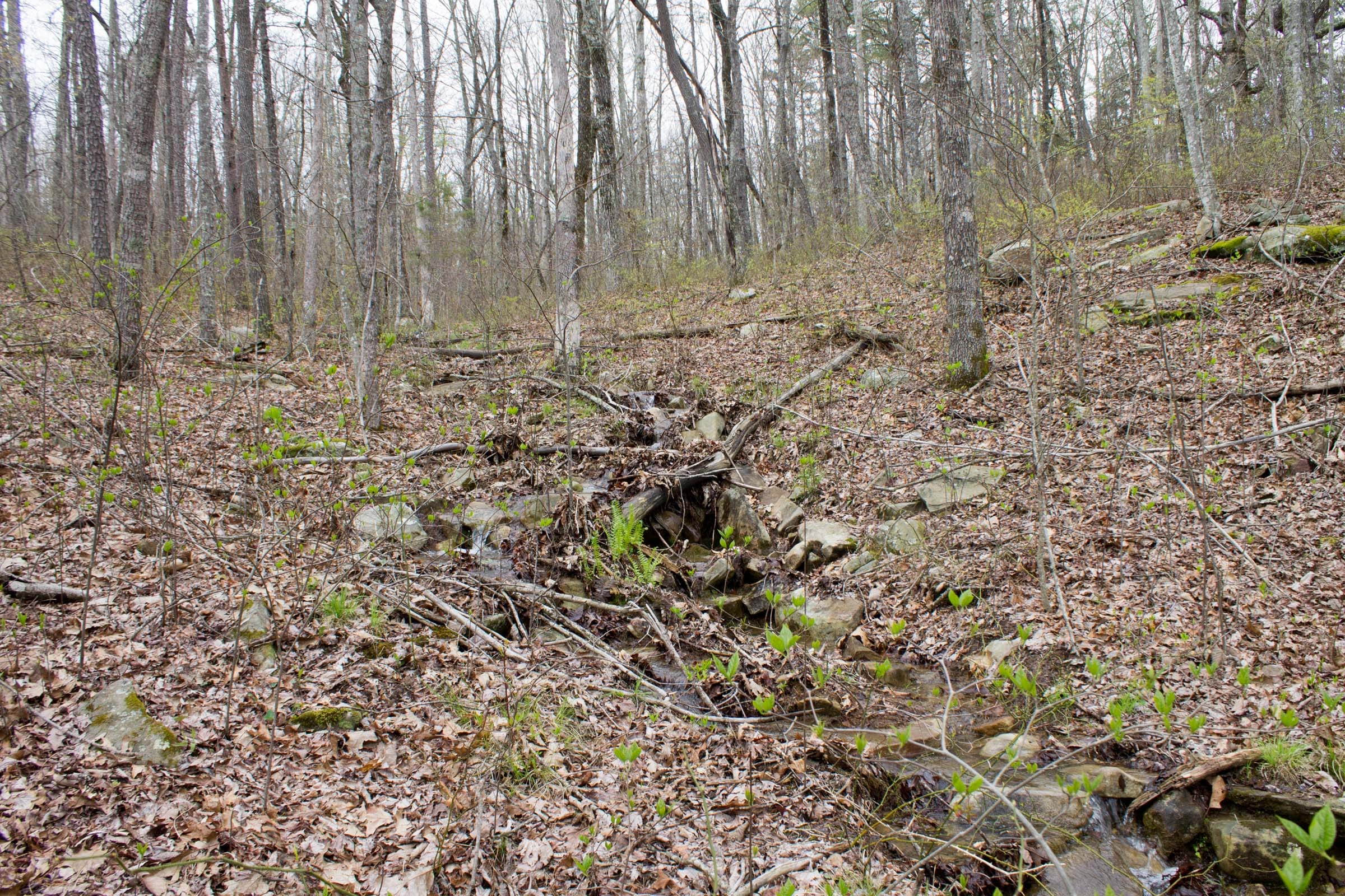 Hidden Hills Tract 3 photo 11