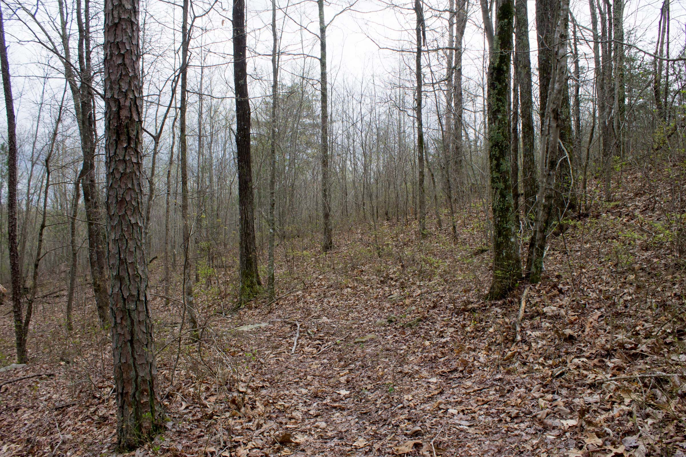 Hidden Hills Tract 3 photo 12