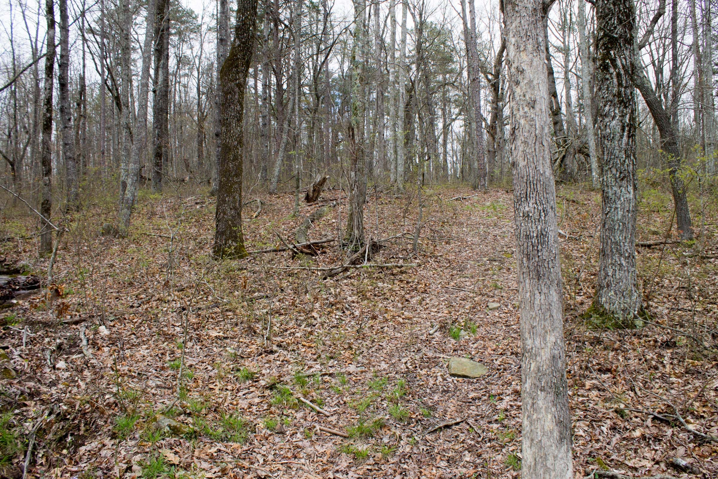 Hidden Hills Tract 3 photo 13