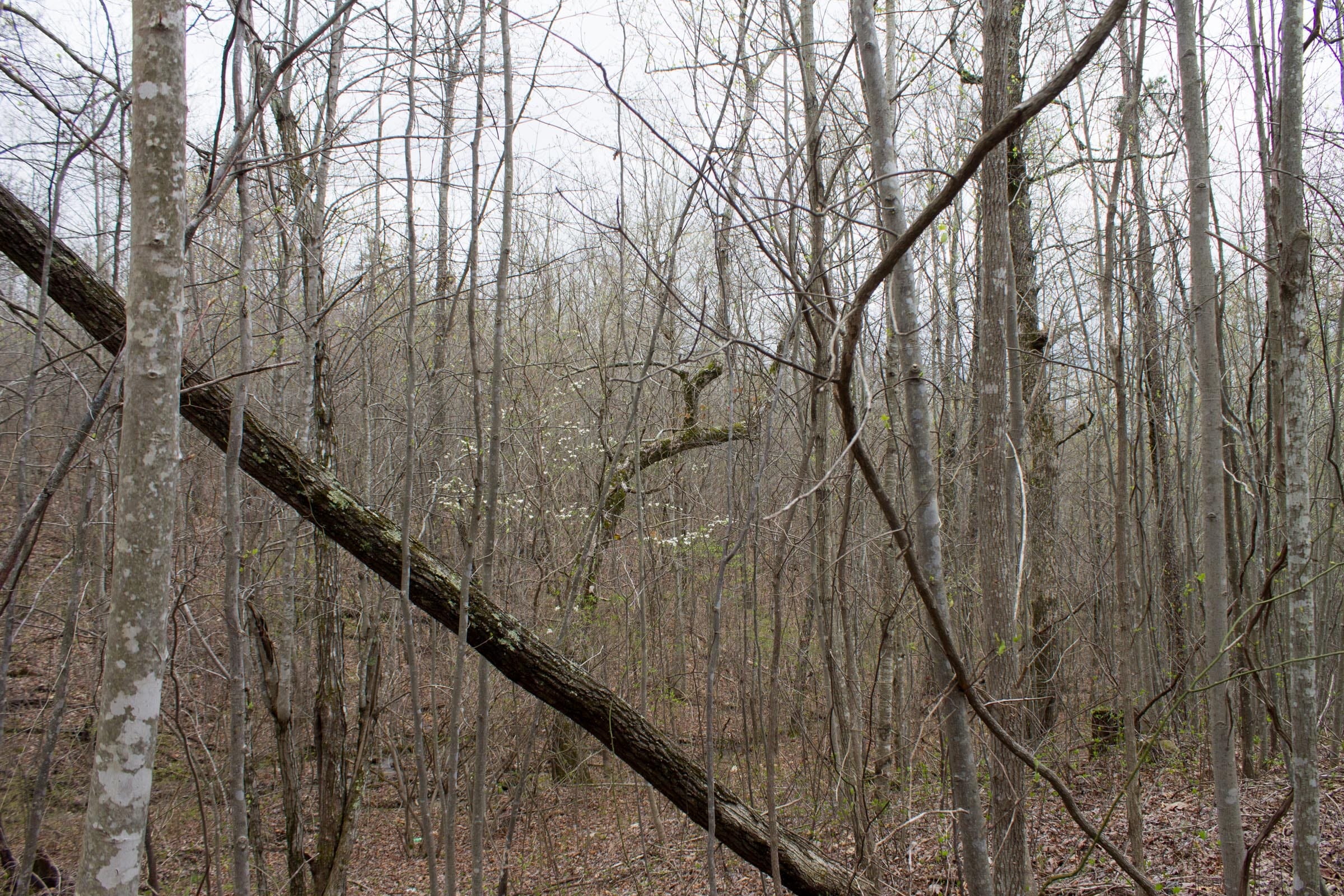 Hidden Hills Tract 3 photo 14
