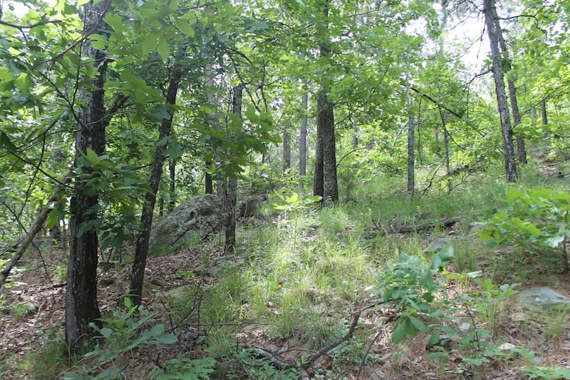 Indian Ridge – Phase II Tract 41 photo 2