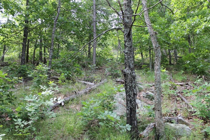 Indian Ridge – Phase II Tract 41 photo 5