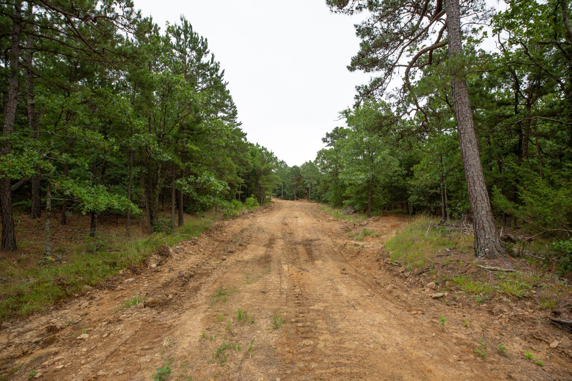 Eagle’s Nest Tract 71 photo 2