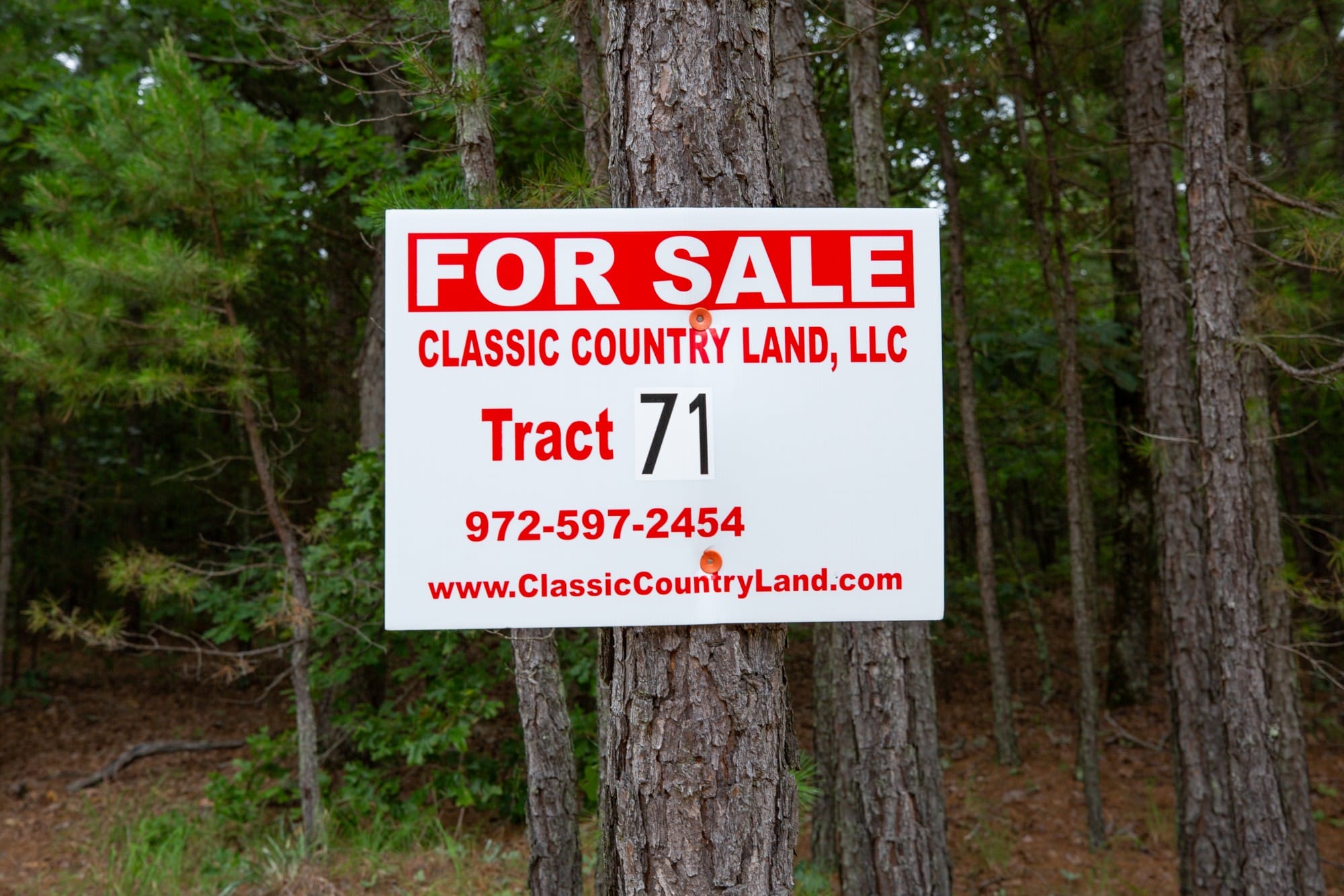 Eagle’s Nest Tract 71 photo 1