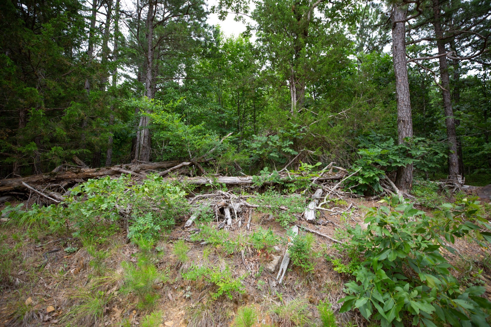Eagle’s Nest Tract 71 photo 14