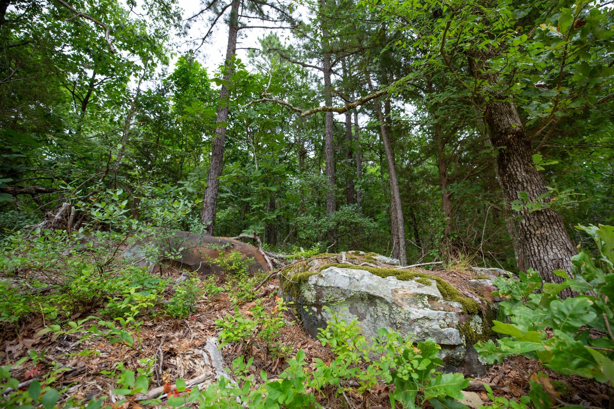 Eagle’s Nest Tract 71 photo 15