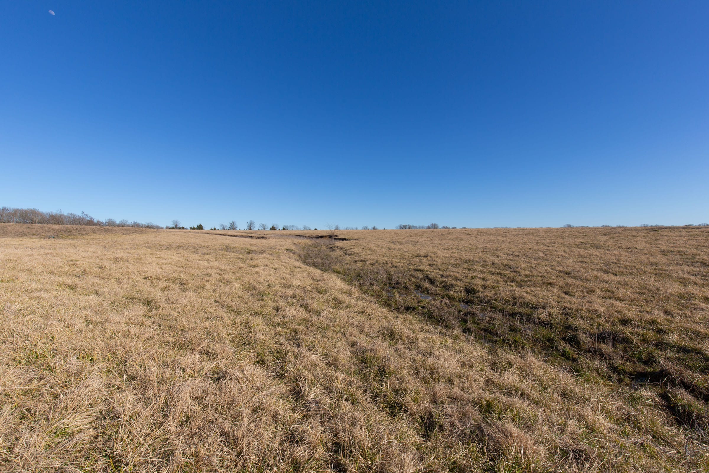Wishing Star Ranch Tract 8 photo 3