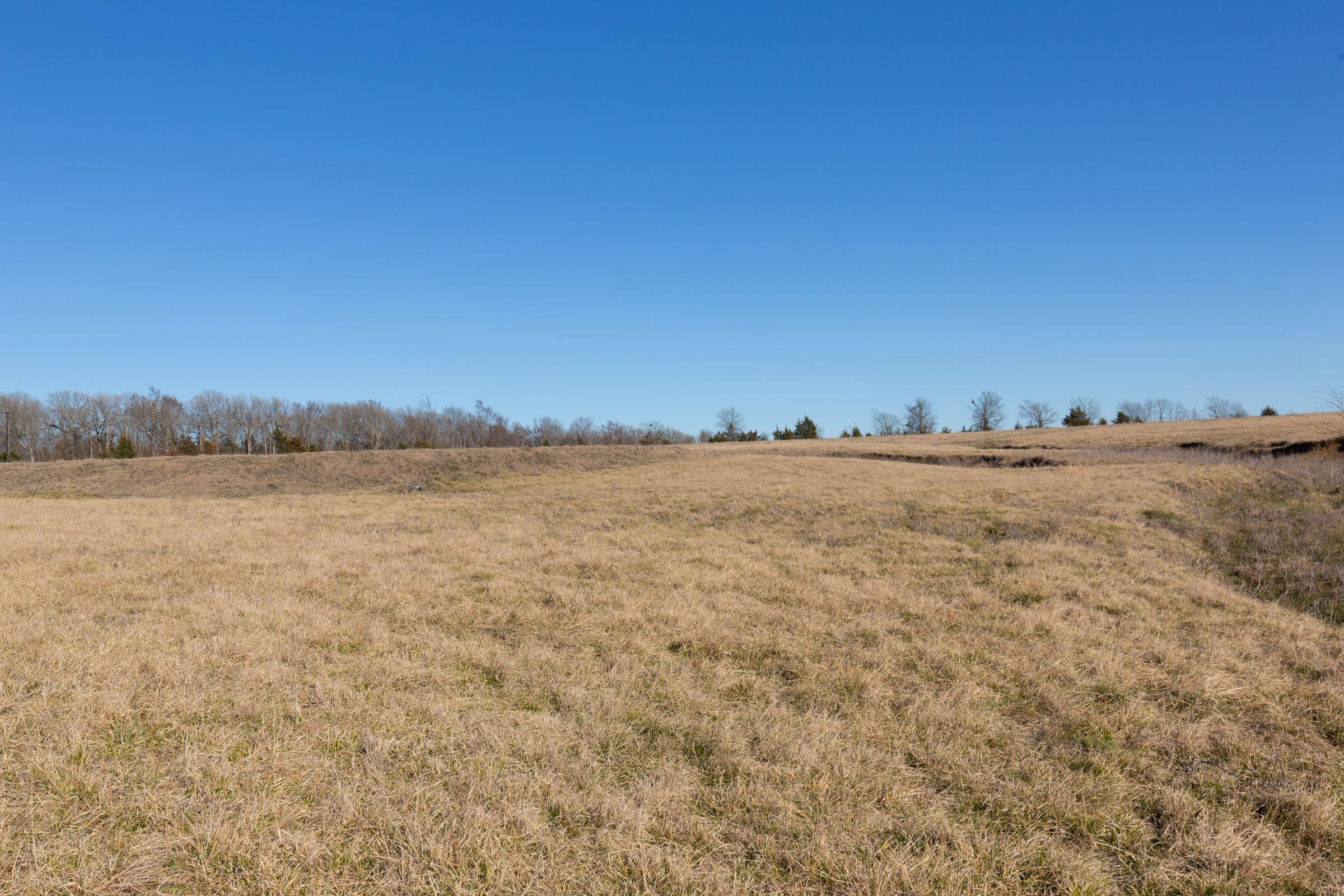 Wishing Star Ranch Tract 8 photo 5