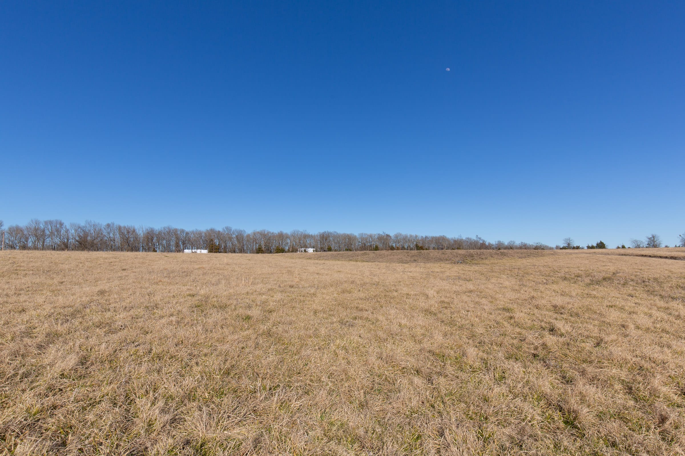 Wishing Star Ranch Tract 8 photo 6