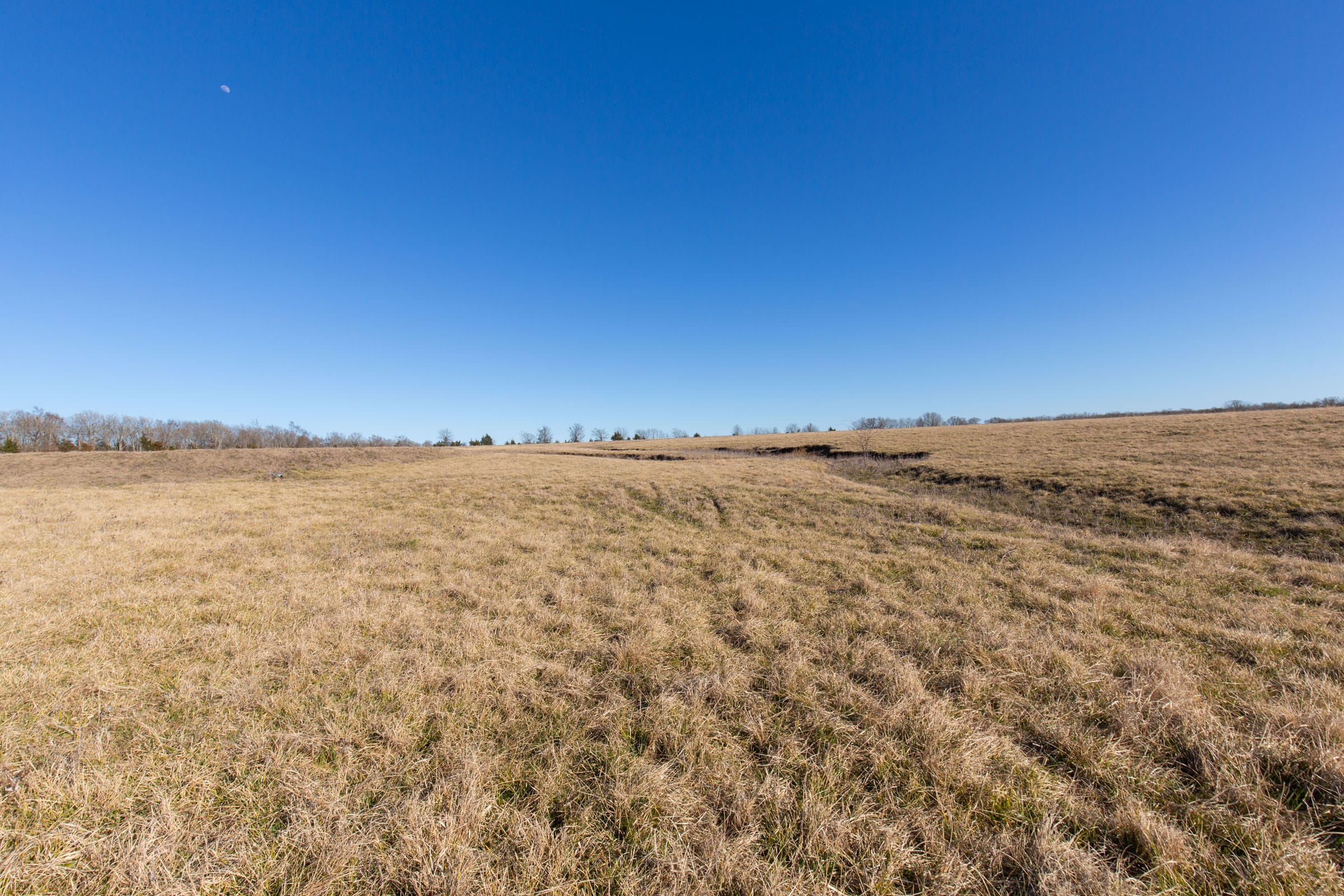Wishing Star Ranch Tract 8 photo 7