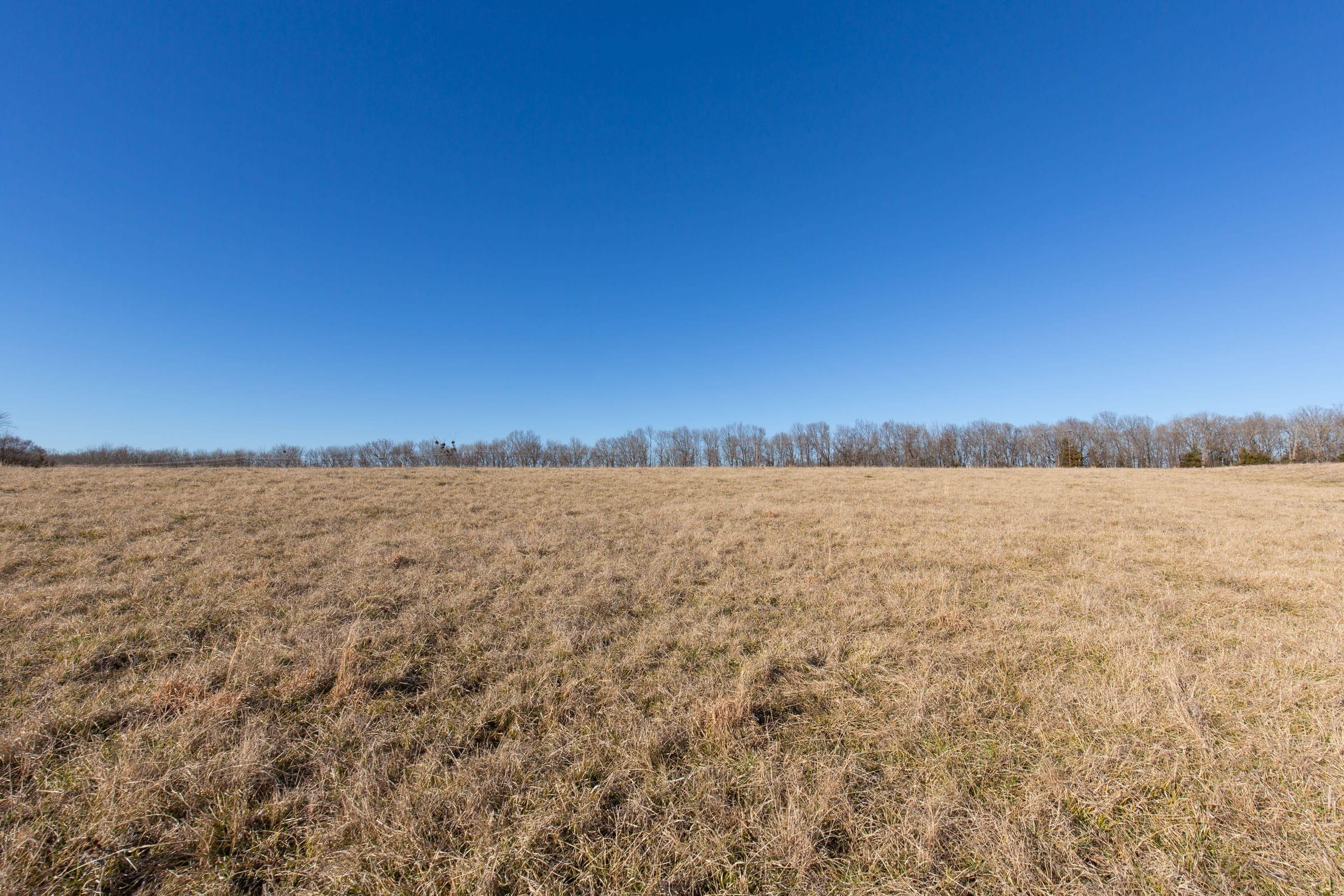 Wishing Star Ranch Tract 8 photo 8