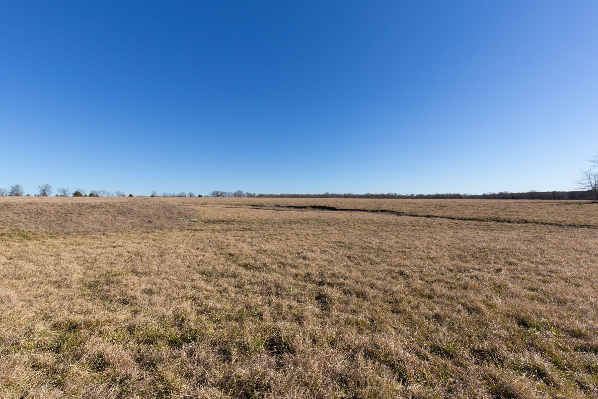 Wishing Star Ranch Tract 8 photo 9