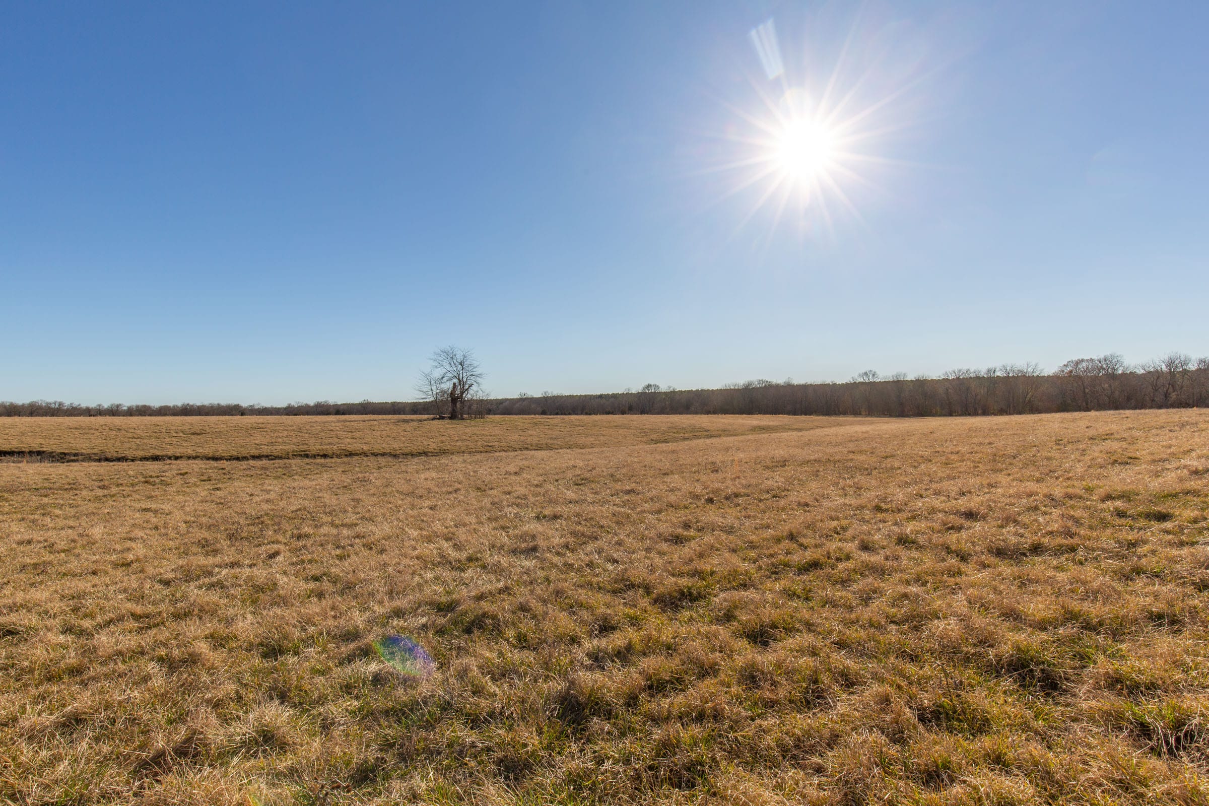 Wishing Star Ranch Tract 8 photo 10