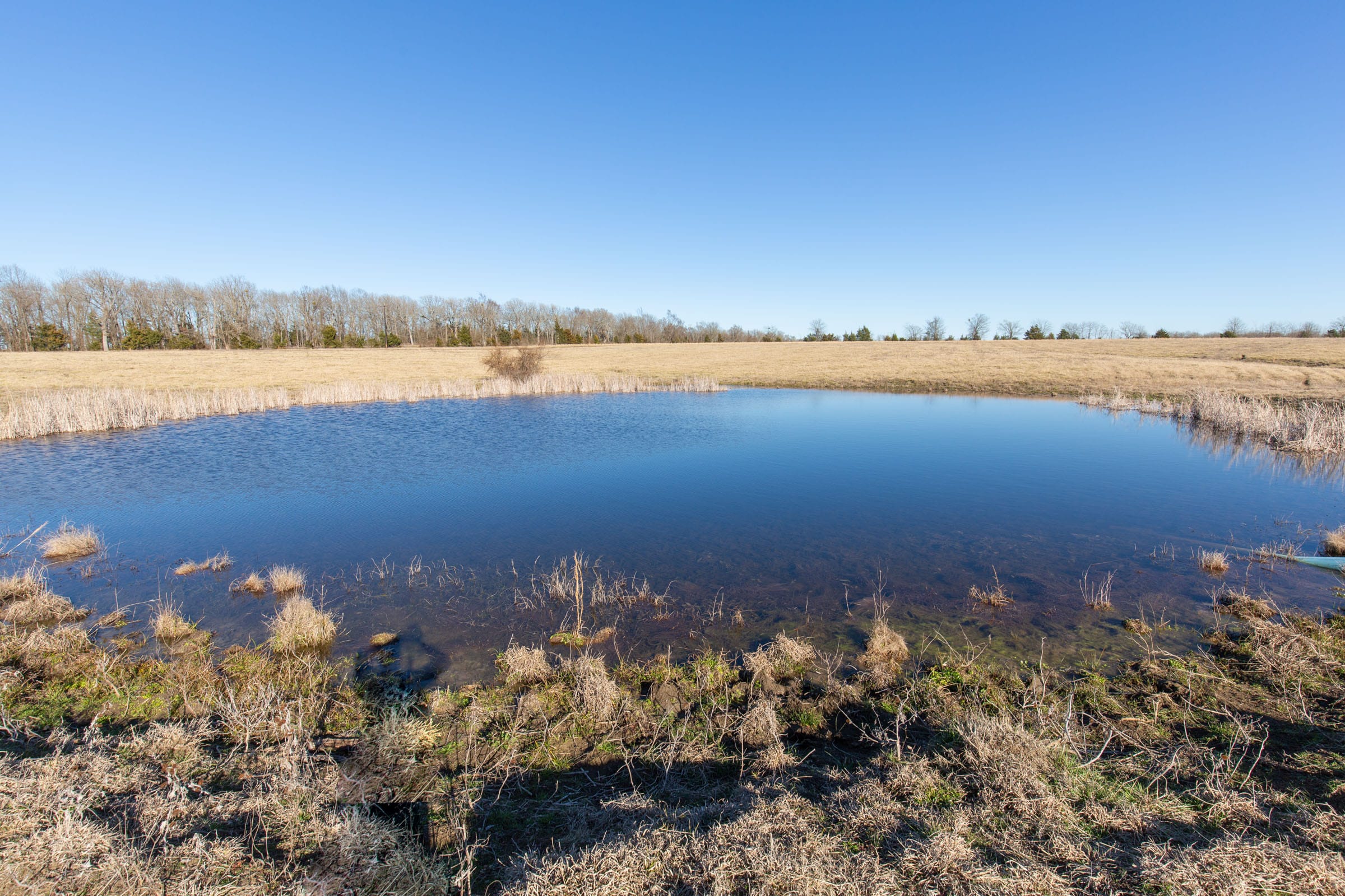 Wishing Star Ranch Tract 8 photo 13