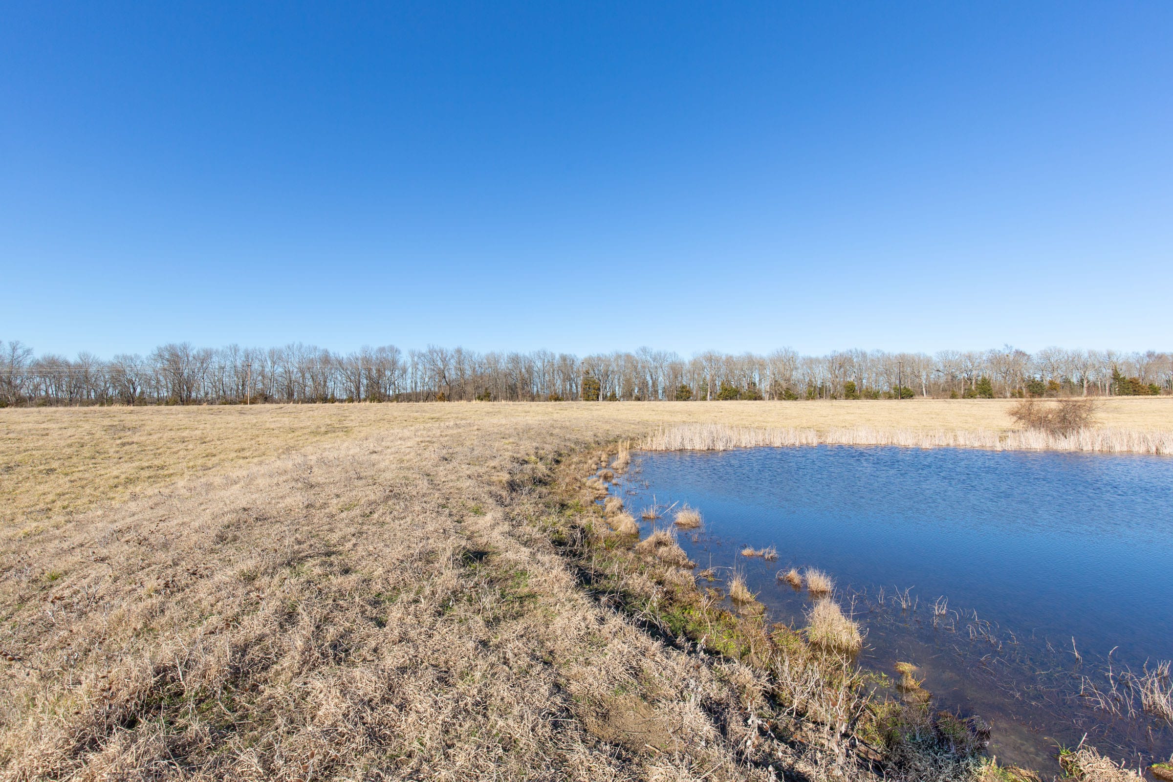 Wishing Star Ranch Tract 8 photo 14