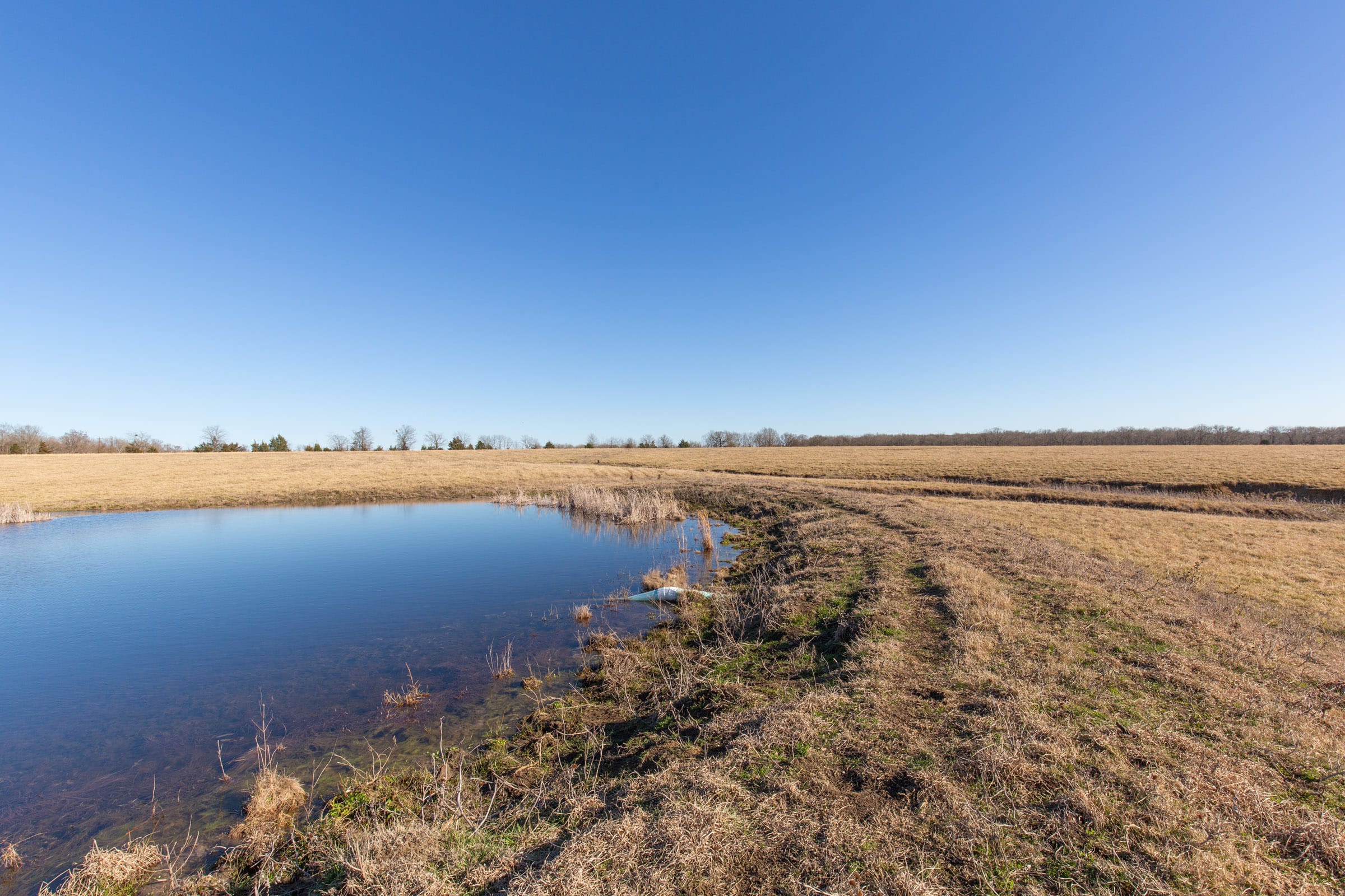 Wishing Star Ranch Tract 8 photo 15