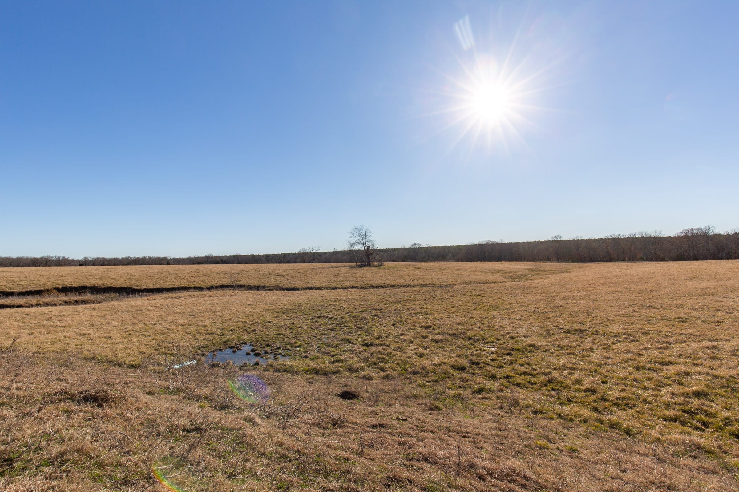 Wishing Star Ranch Tract 8 photo 16