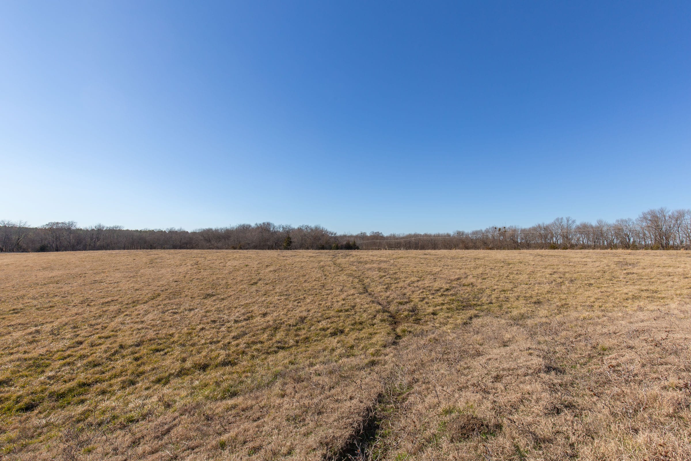 Wishing Star Ranch Tract 8 photo 17