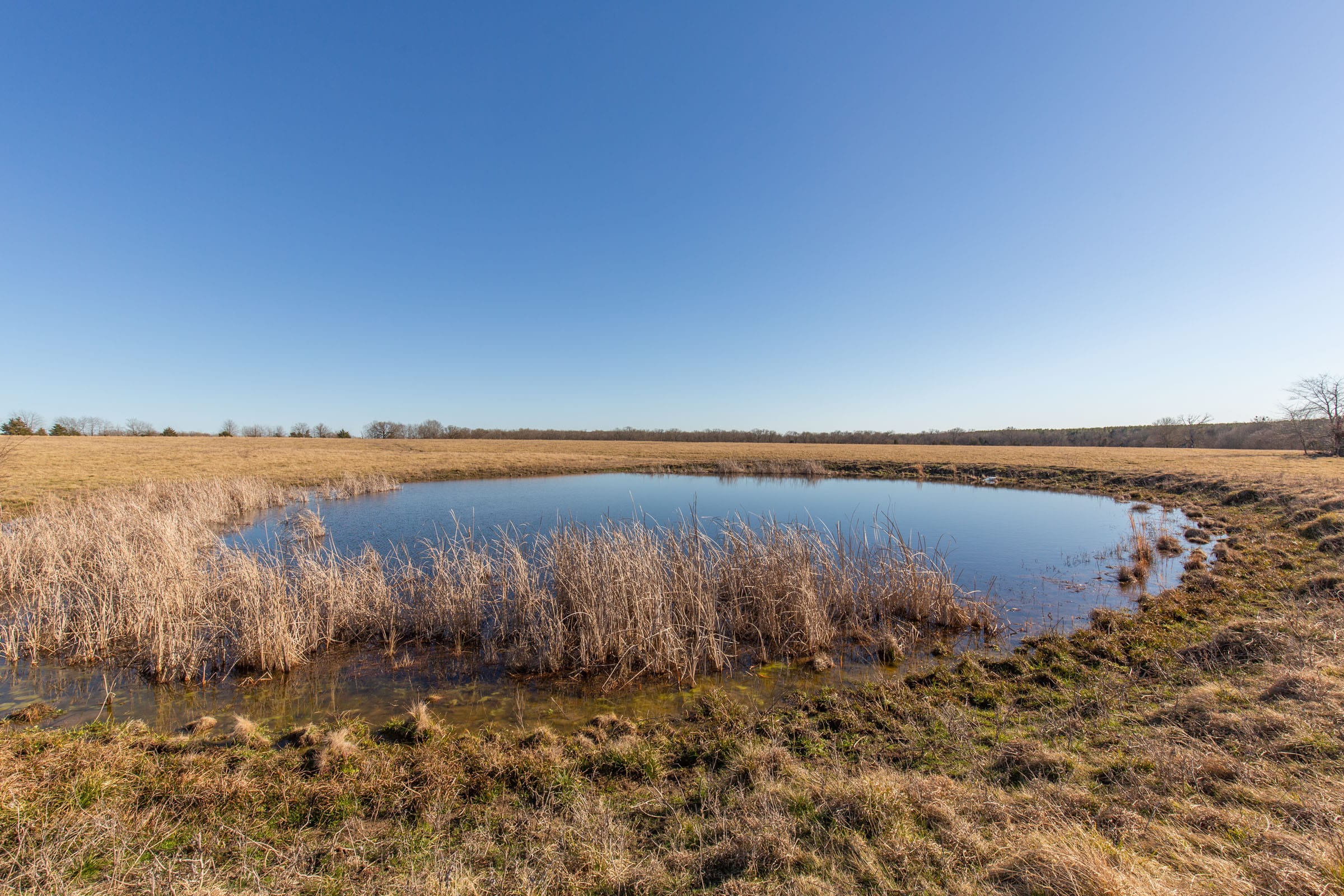 Wishing Star Ranch Tract 8 photo 19