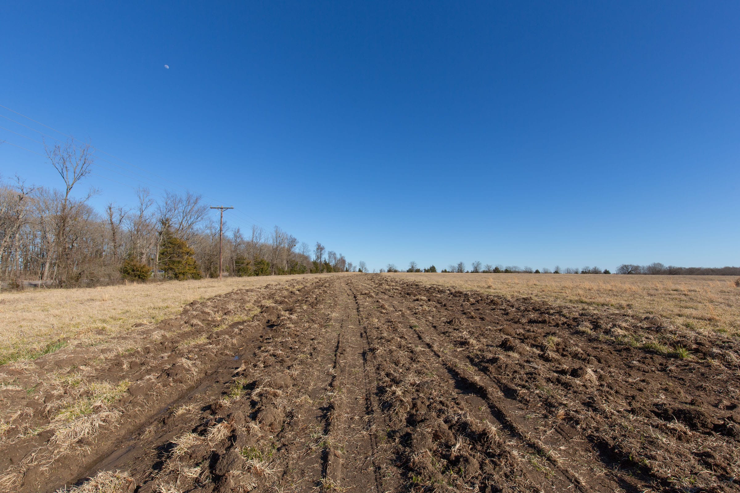Wishing Star Ranch Tract 8 photo 11