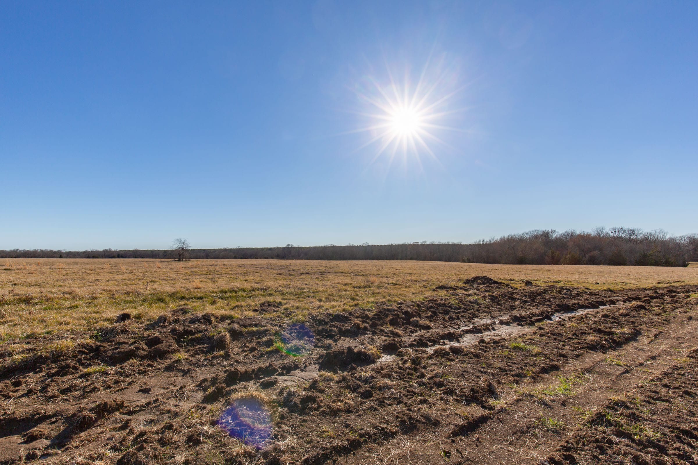 Wishing Star Ranch Tract 8 photo 21