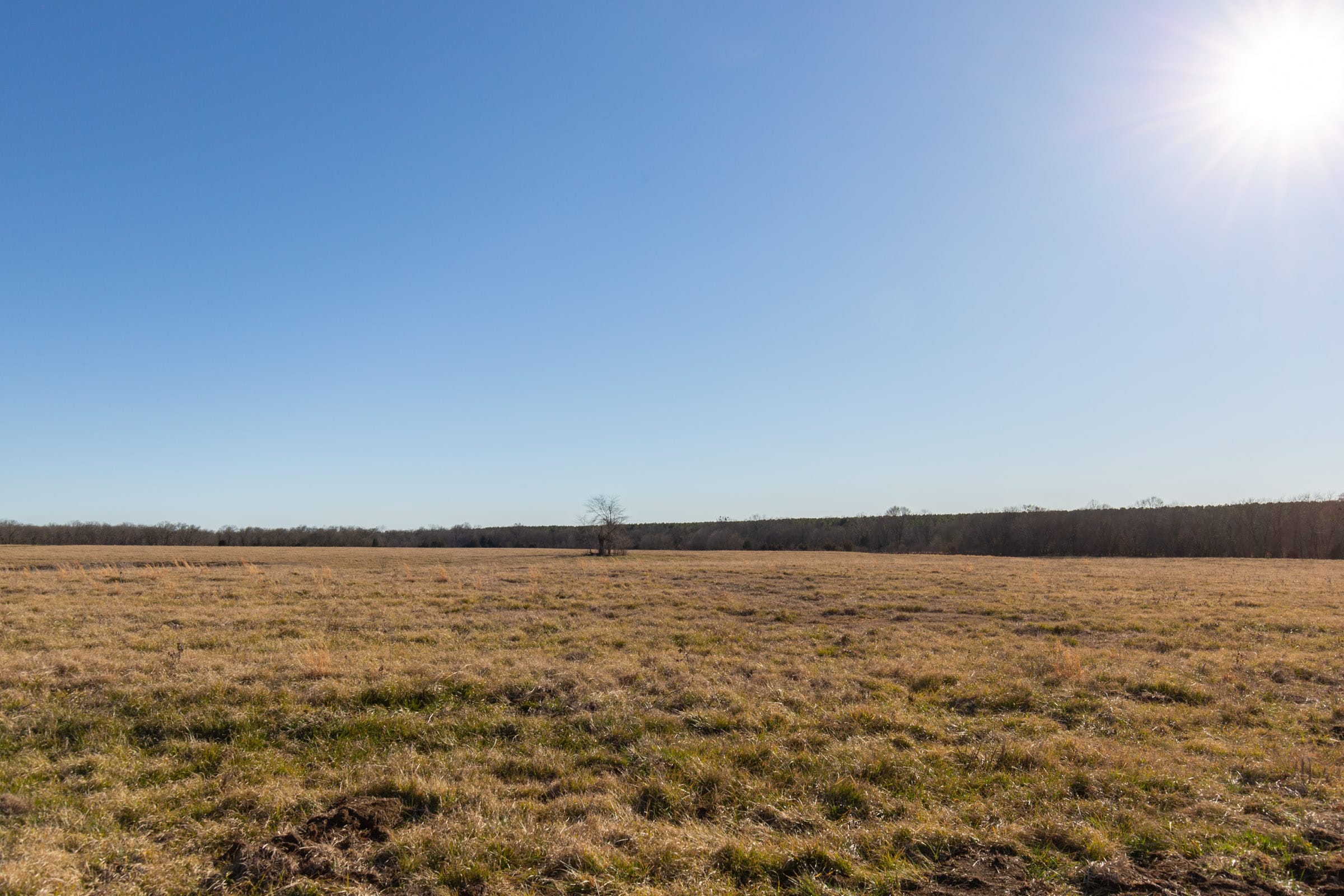 Wishing Star Ranch Tract 8 photo 22