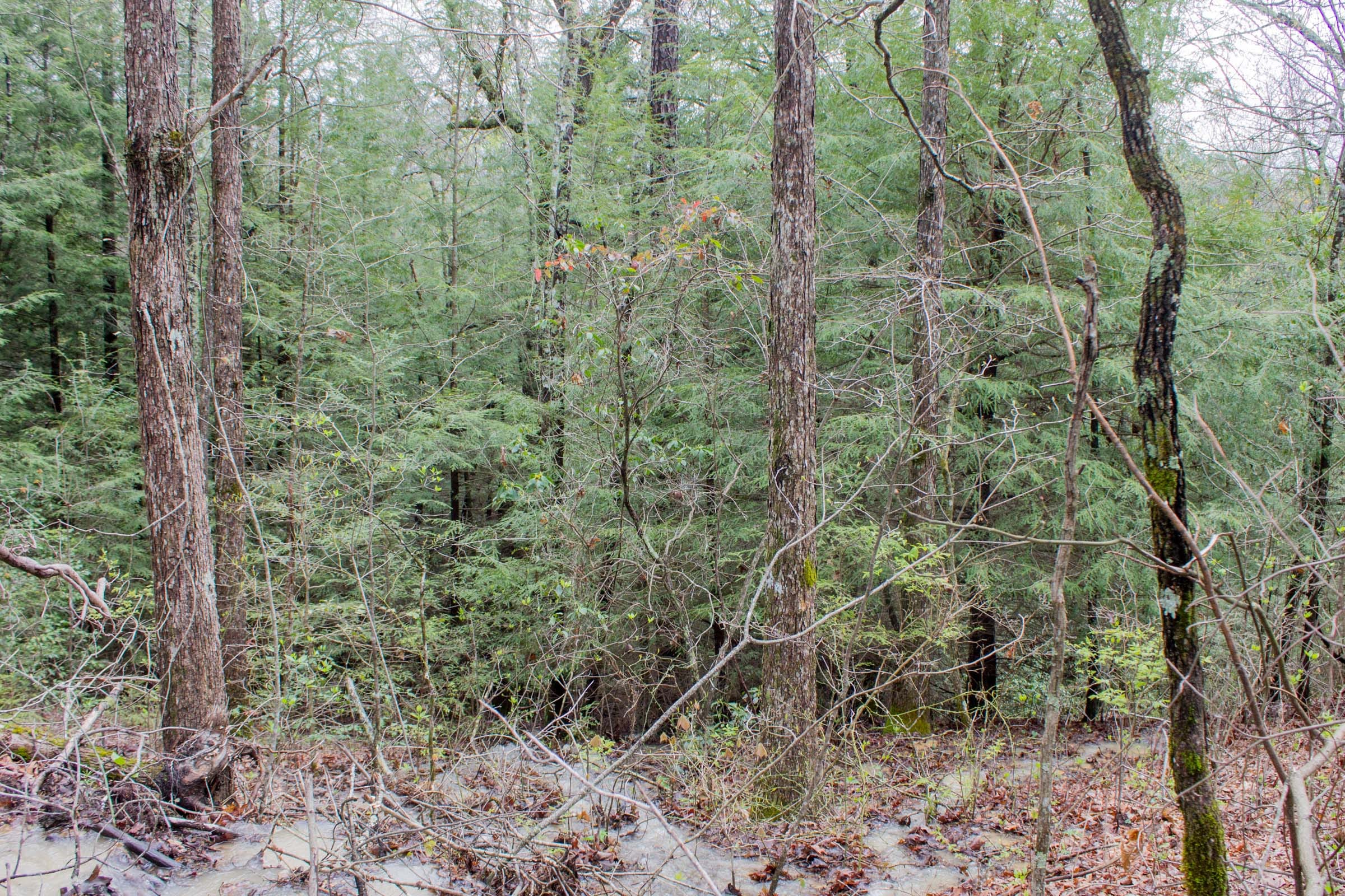 Hidden Hills Tract 10 photo 4