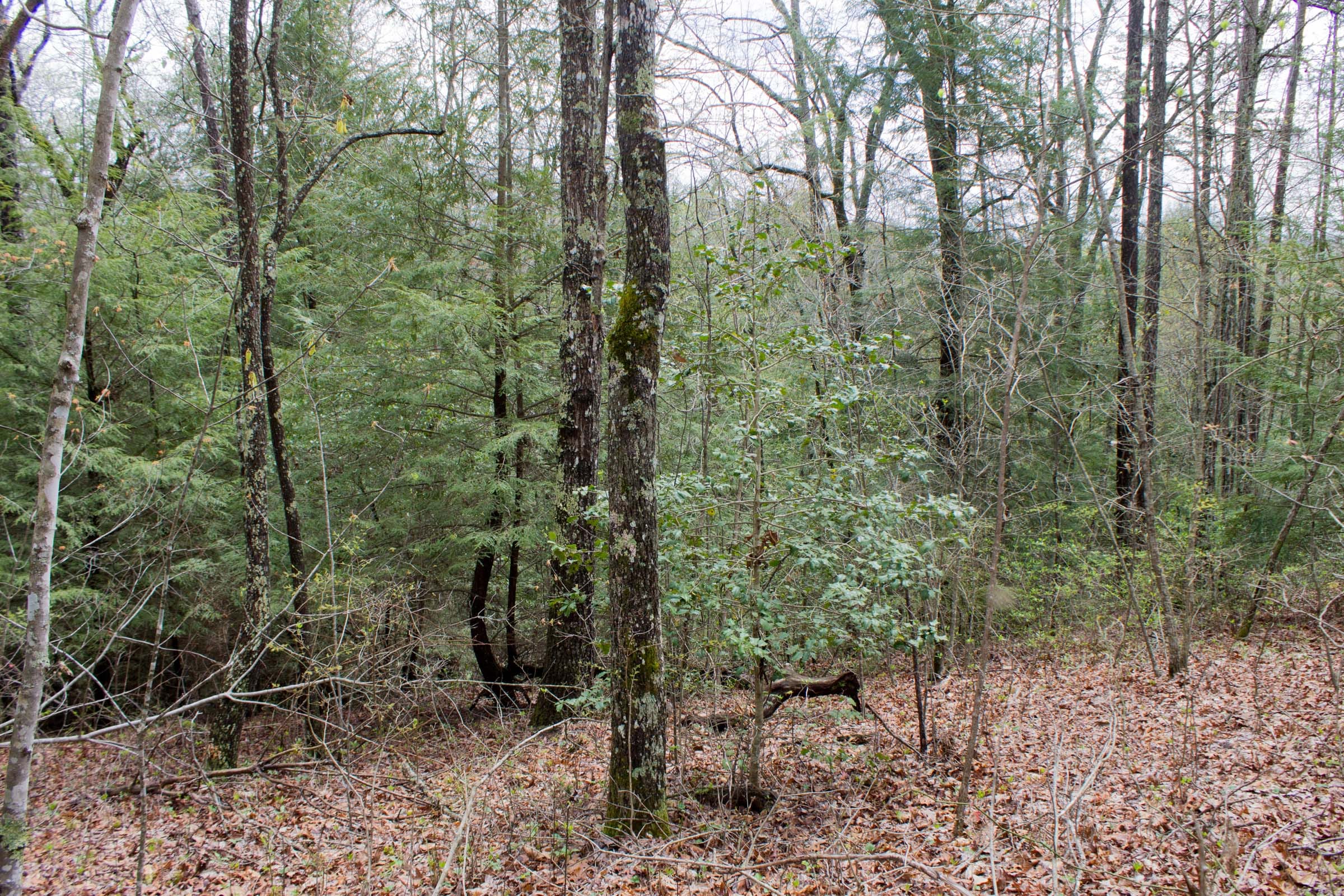 Hidden Hills Tract 10 photo 6