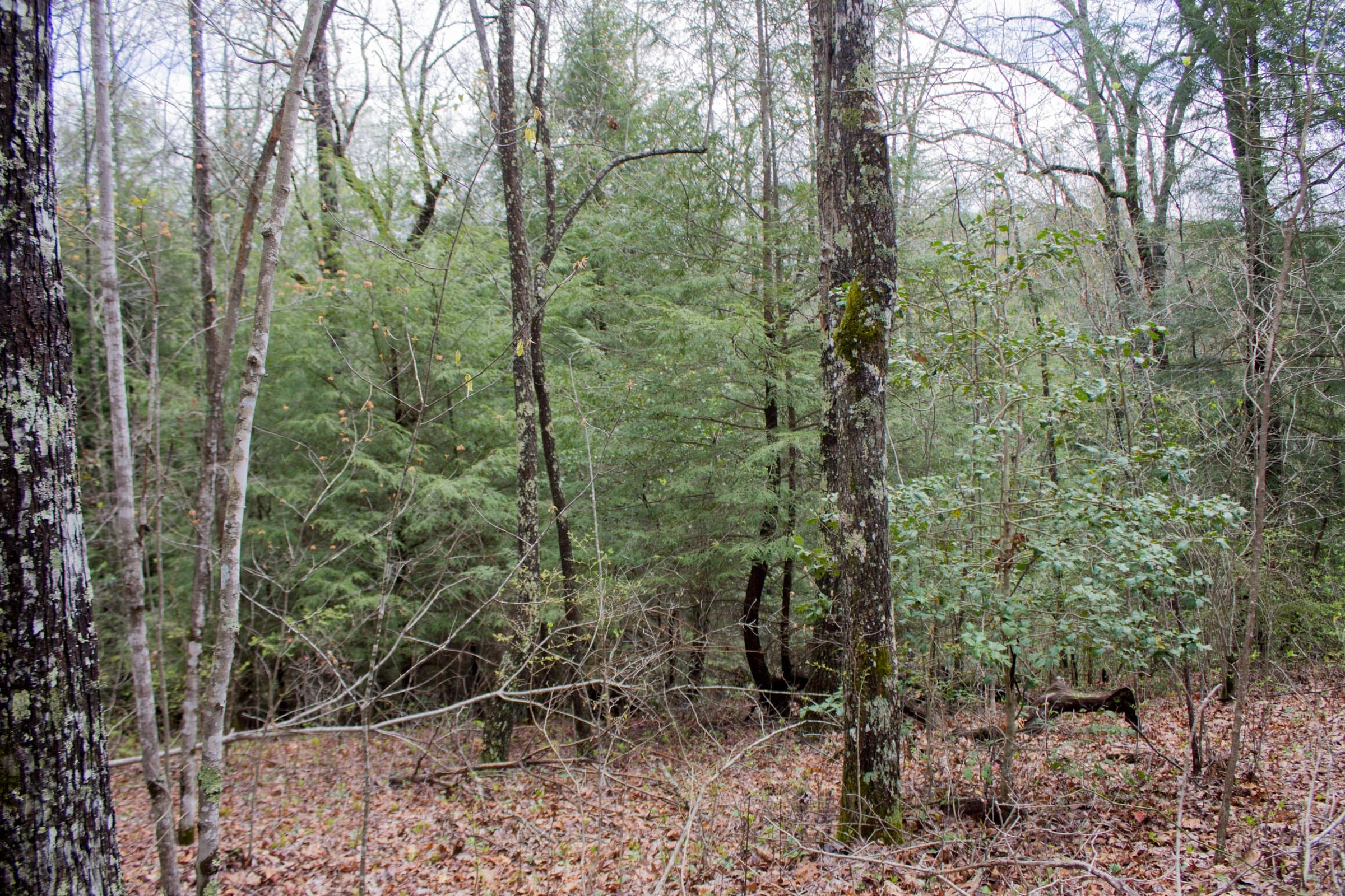 Hidden Hills Tract 10 photo 9