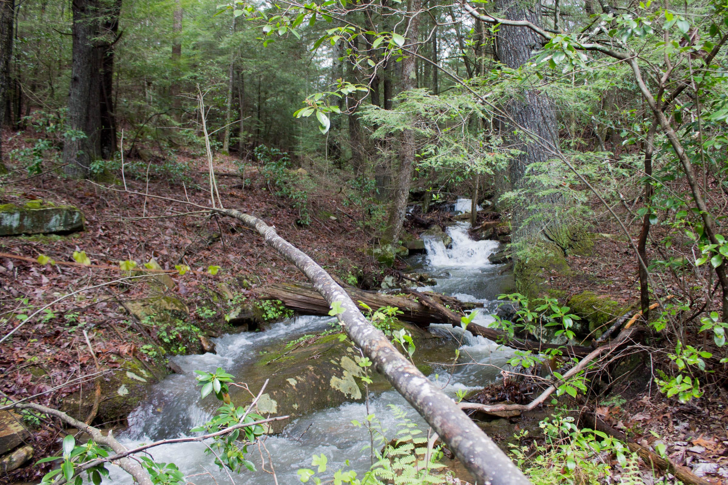 Hidden Hills Tract 10 photo 3