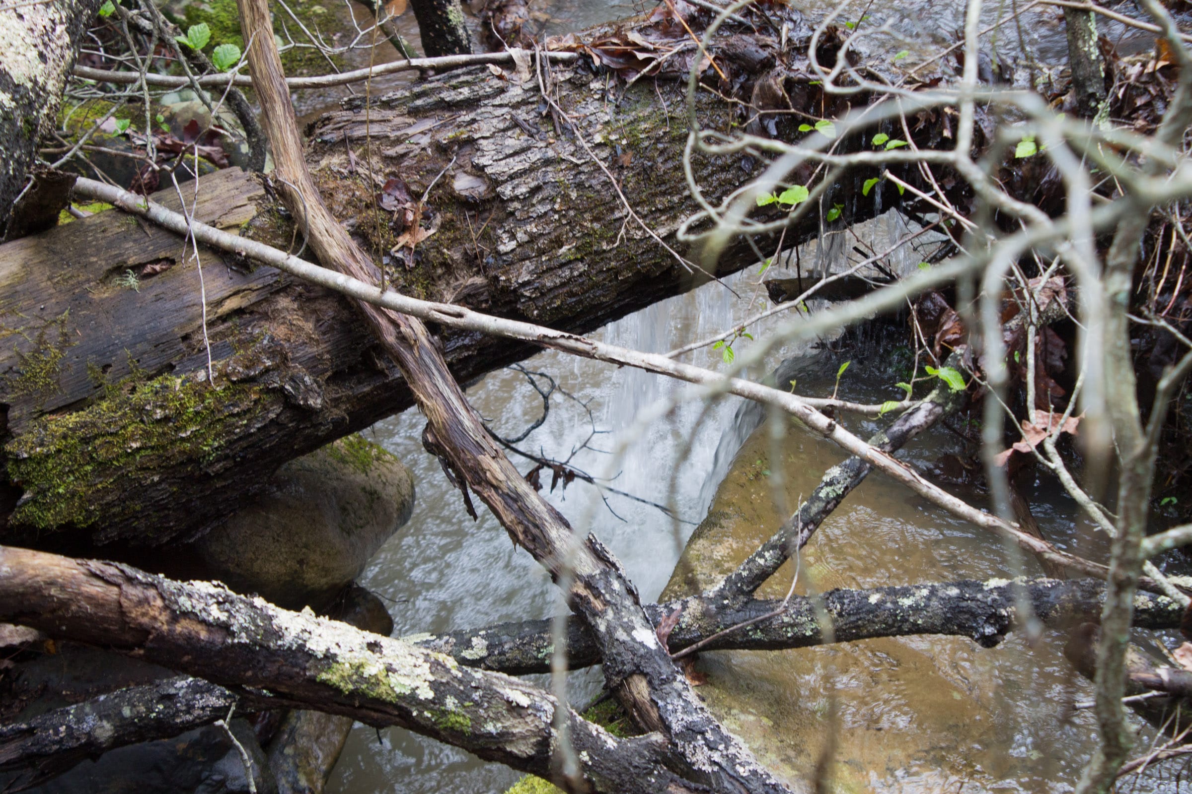 Hidden Hills Tract 10 photo 10