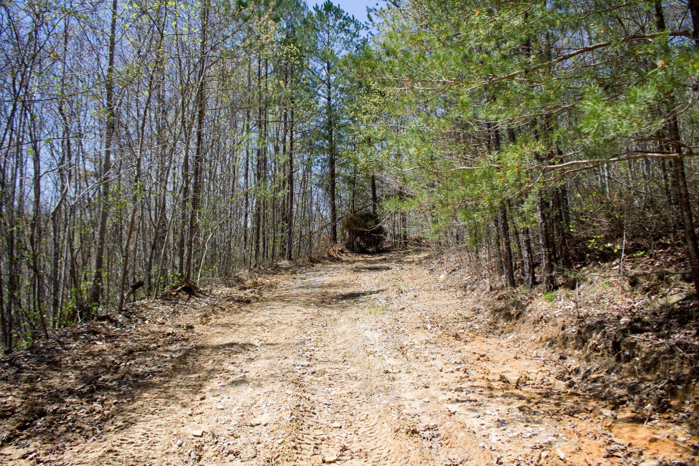 Hidden Hills Tract 10 photo 2