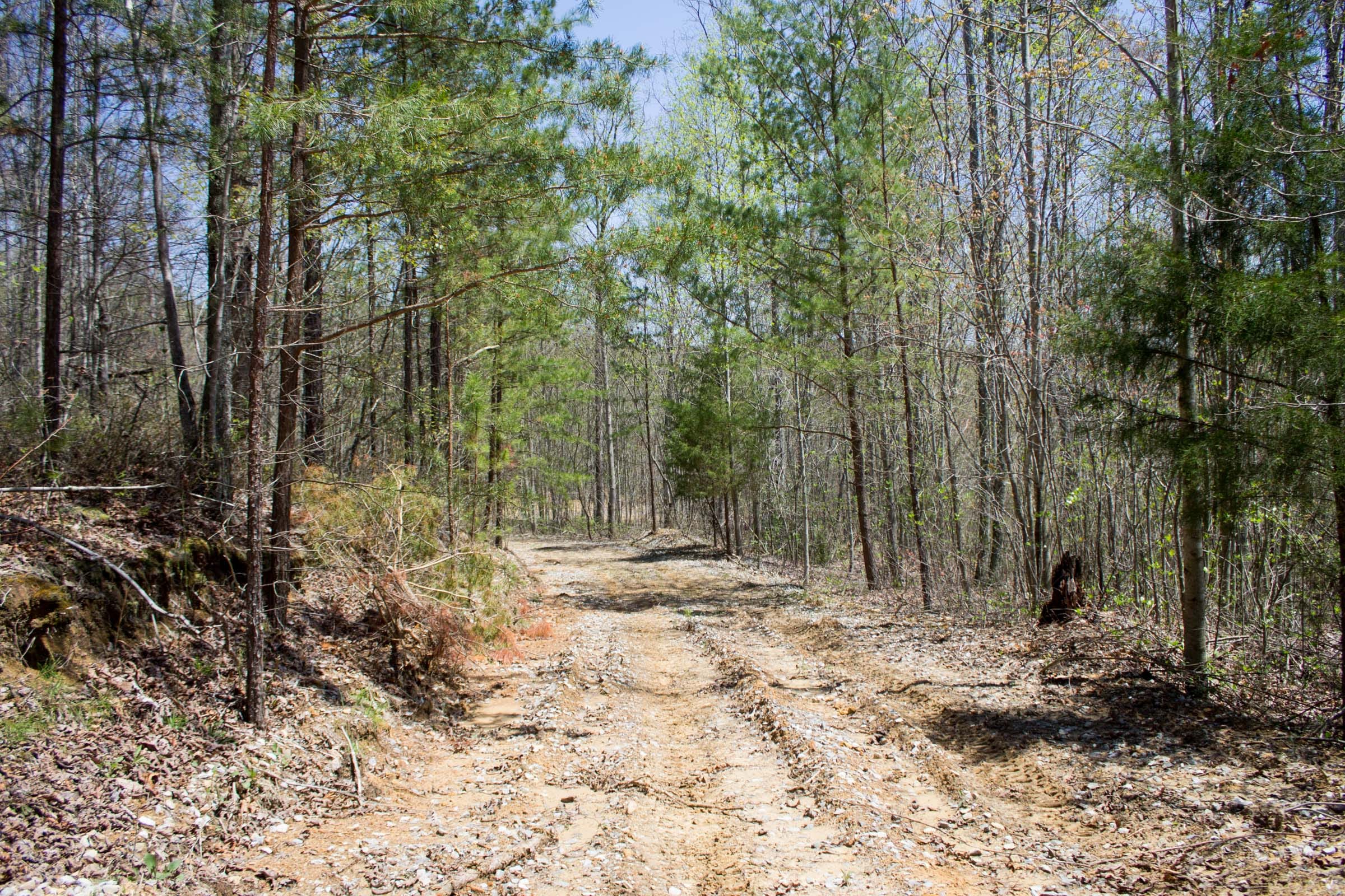 Hidden Hills Tract 10 photo 5