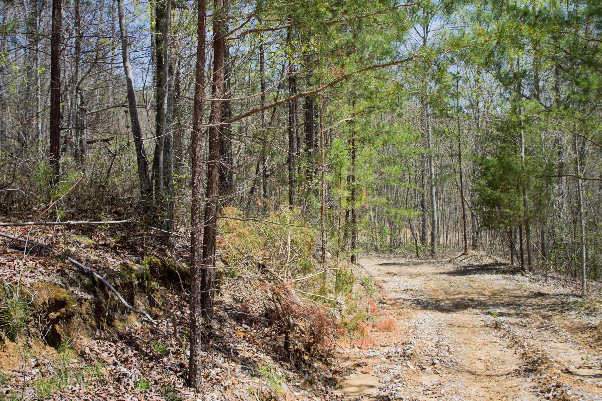 Hidden Hills Tract 10 photo 8