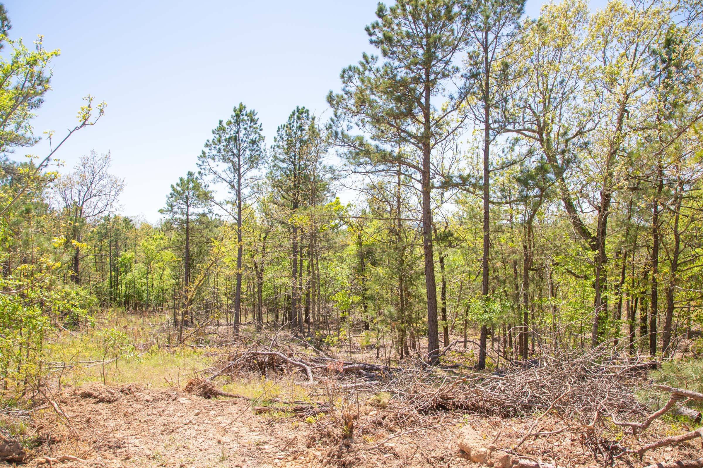 Eagle’s Nest Tract 14 photo 3