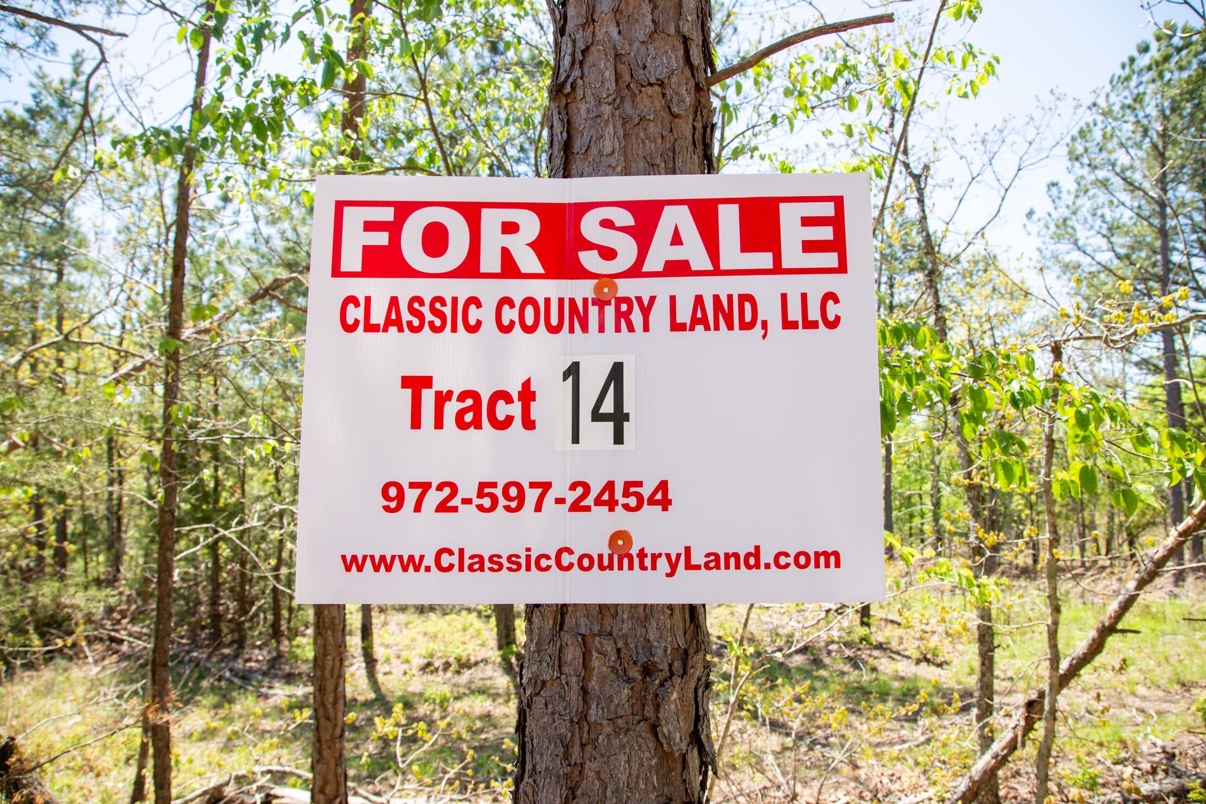 Eagle’s Nest Tract 14 photo 1