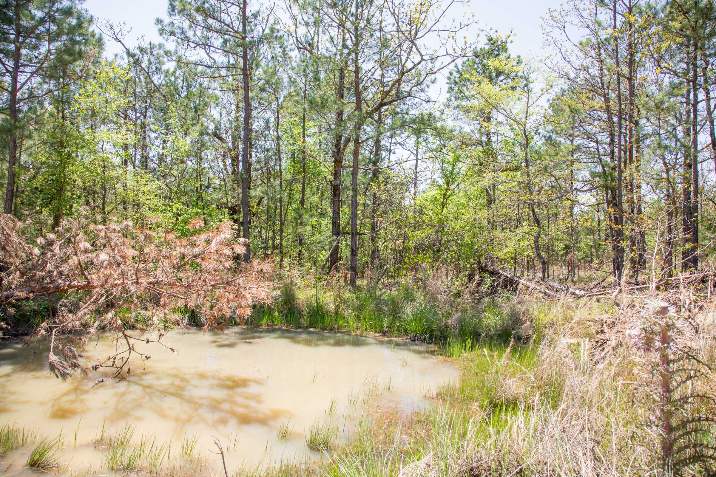 Eagle’s Nest Tract 14 photo 4