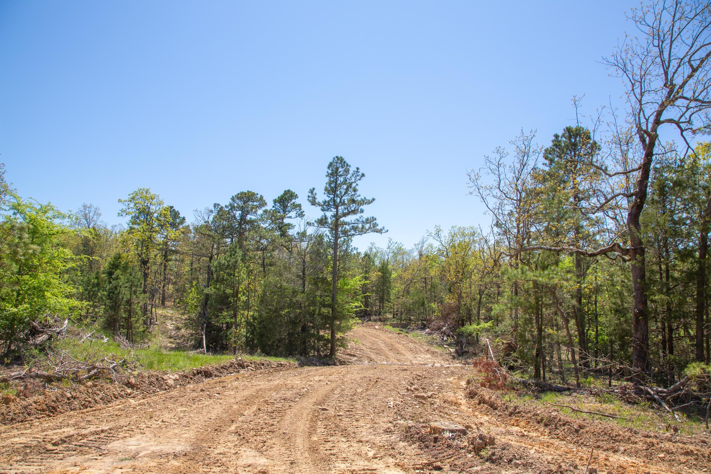 Eagle’s Nest Tract 14 photo 5