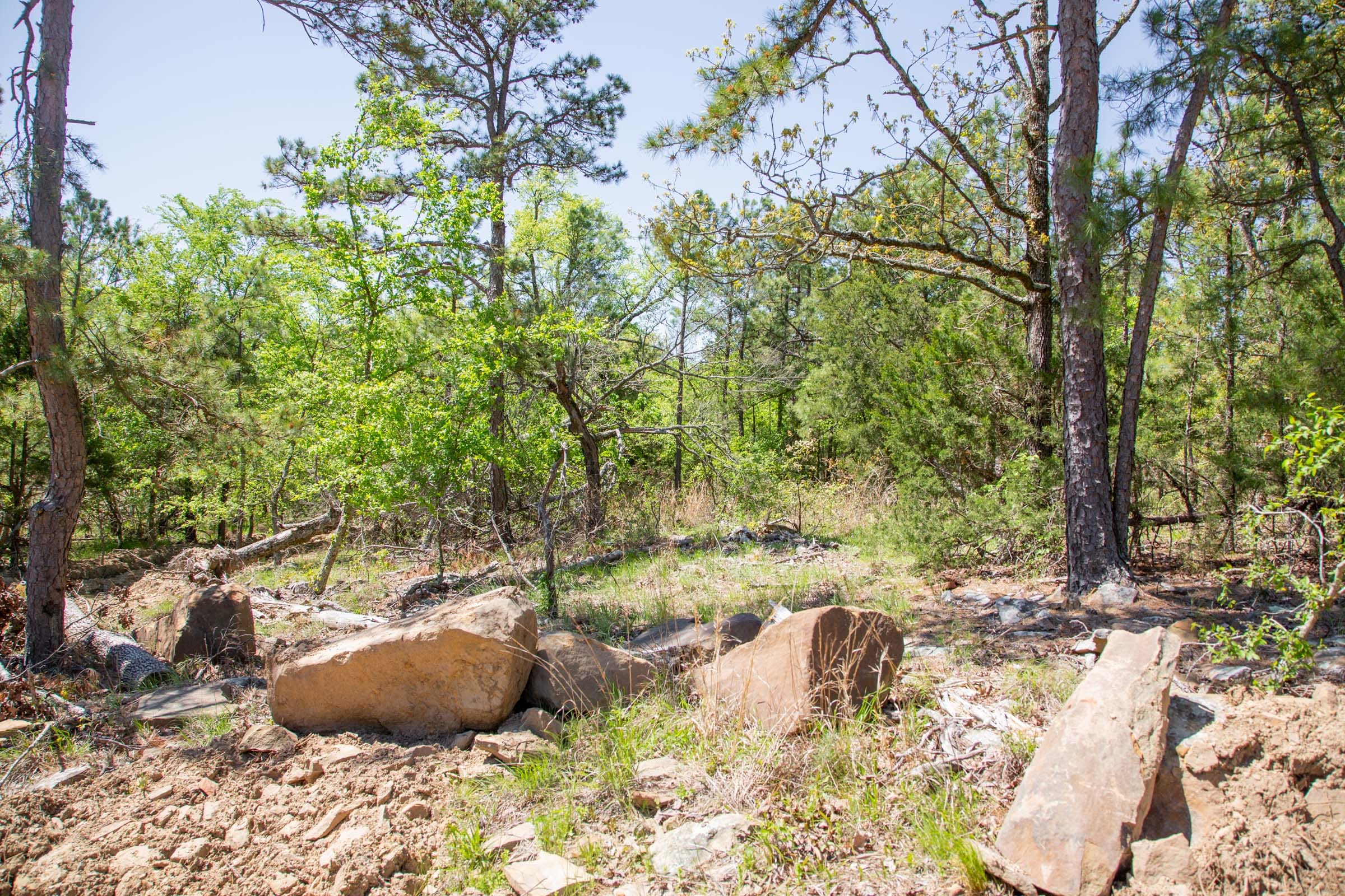 Eagle’s Nest Tract 14 photo 6