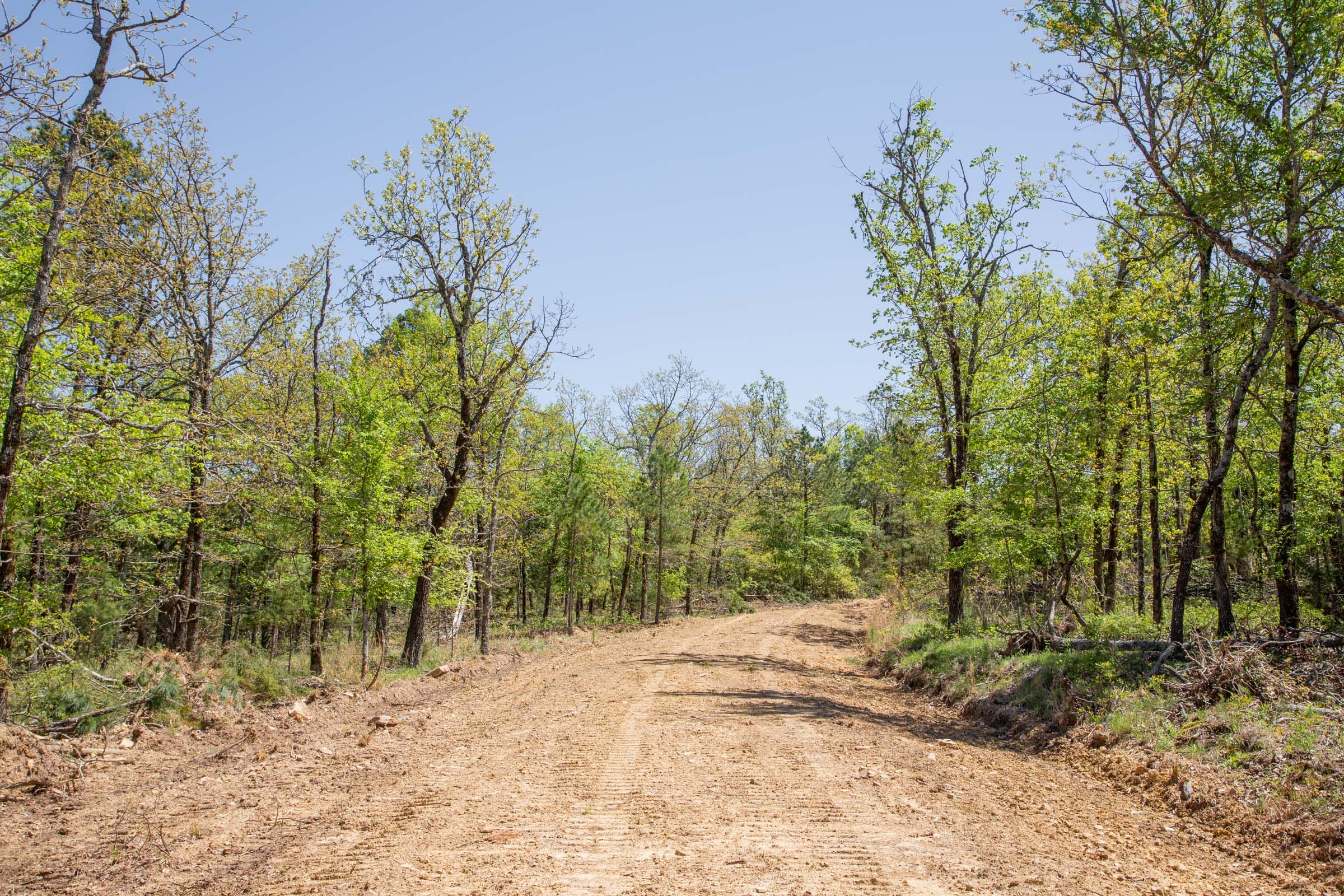 Eagle’s Nest Tract 14 photo 8