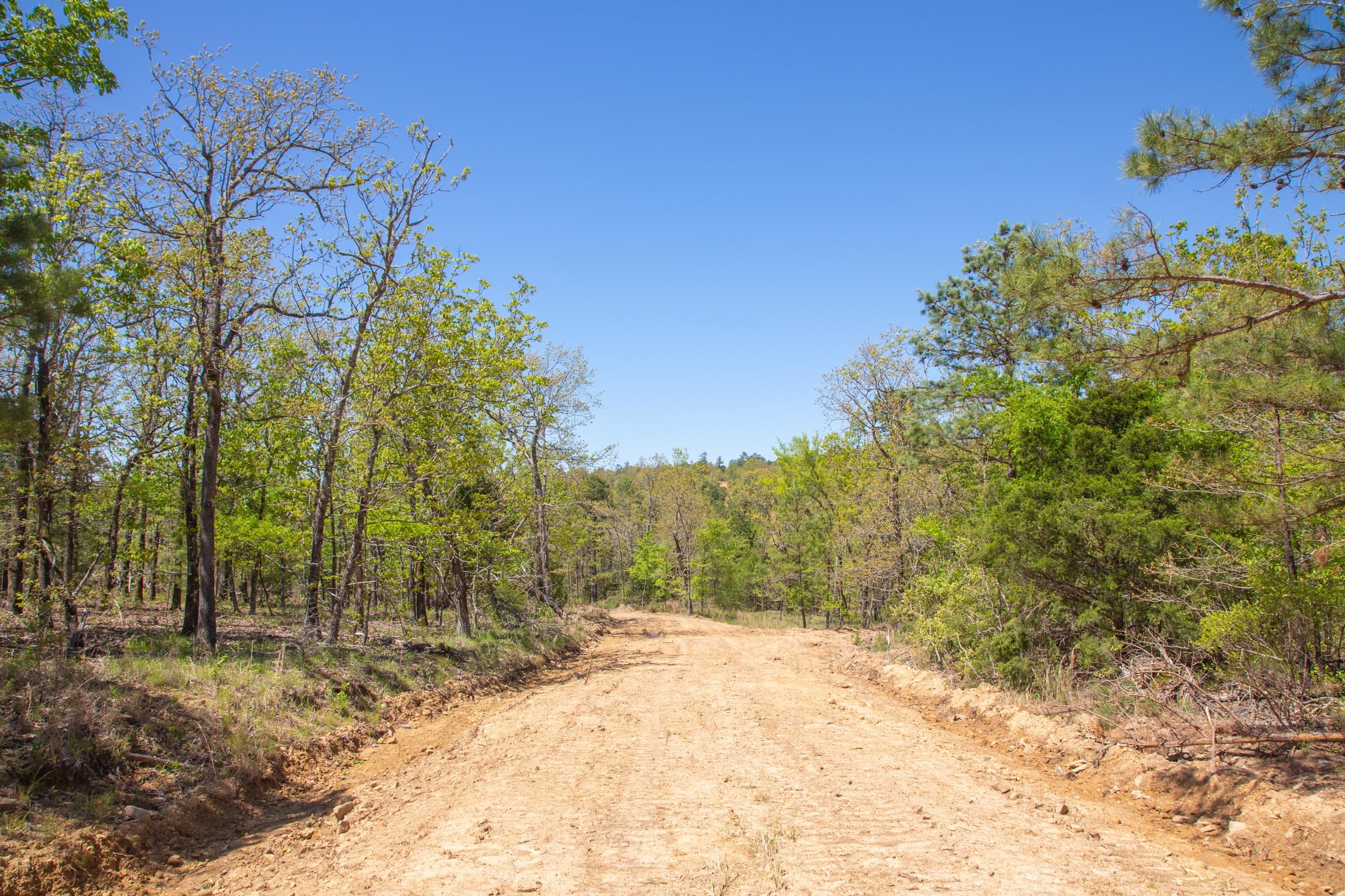 Eagle’s Nest Tract 14 photo 12