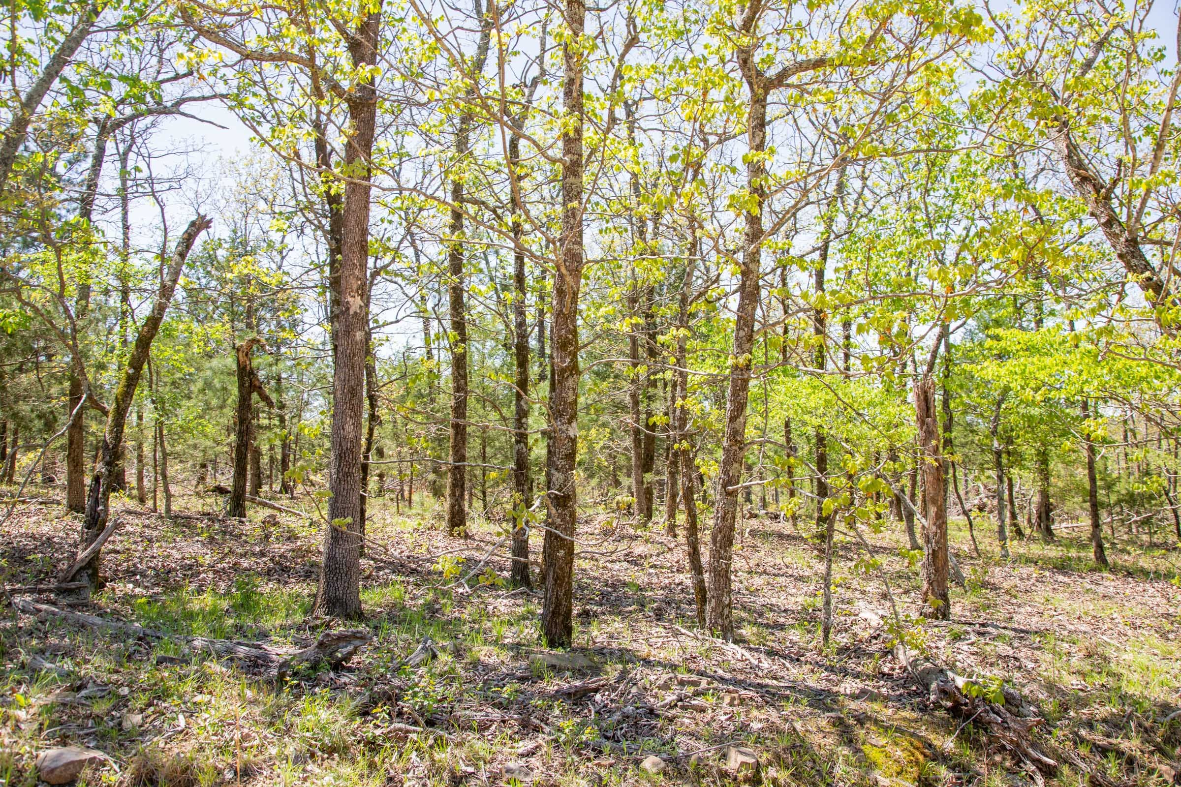 Eagle’s Nest Tract 14 photo 13